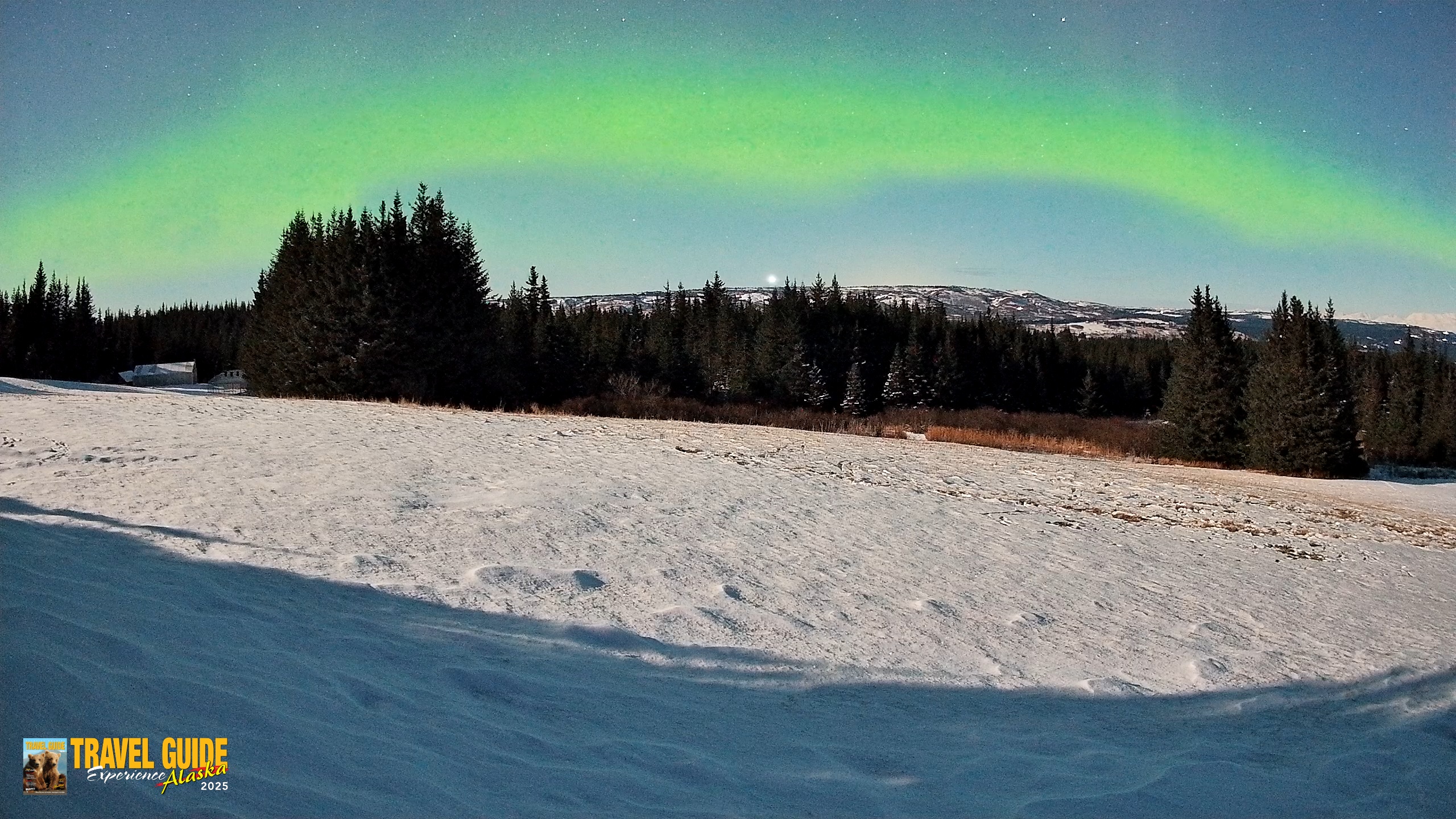 Snapshot of Homer Alaska Northern Lights Live Cam taken Dec 31, 2025, 10:11am AKST