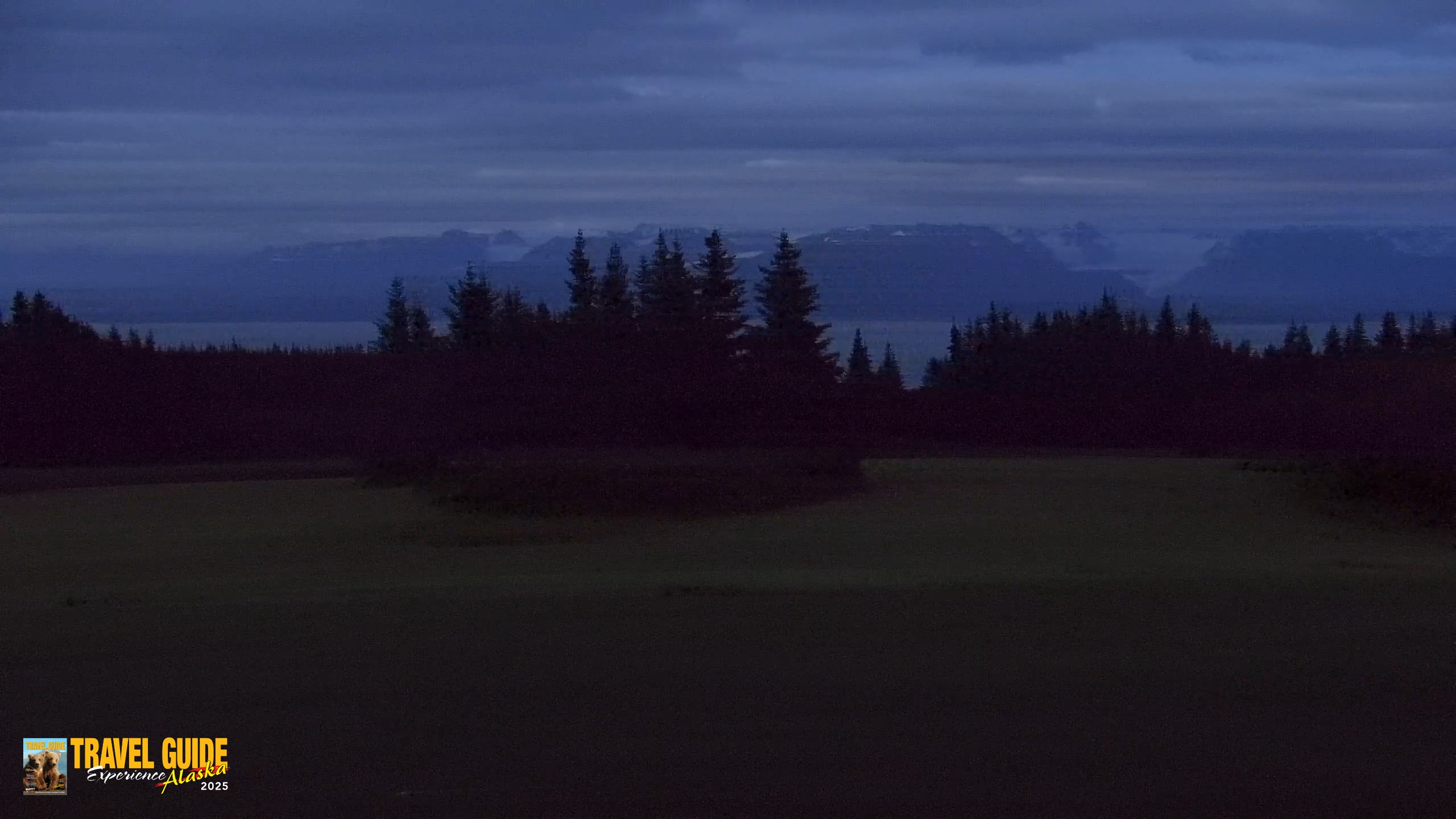 Snapshot of Homer Alaska Northern Lights Live Cam taken Aug 17, 2026, 10:28pm AKDT