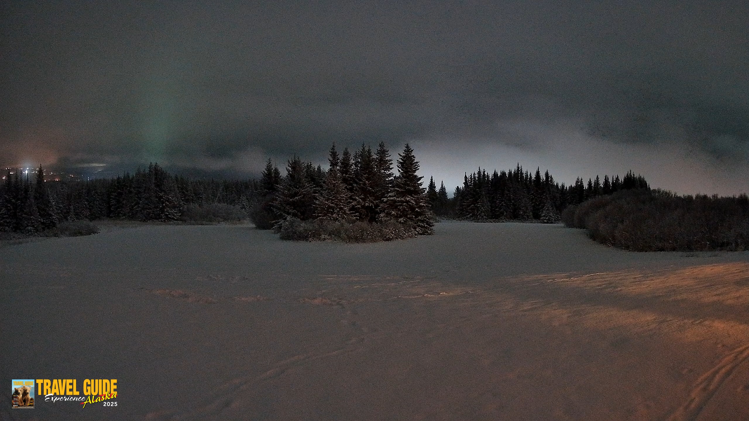 Snapshot of Homer Alaska Northern Lights Live Cam taken Jan 14, 2026, 8:38am AKST