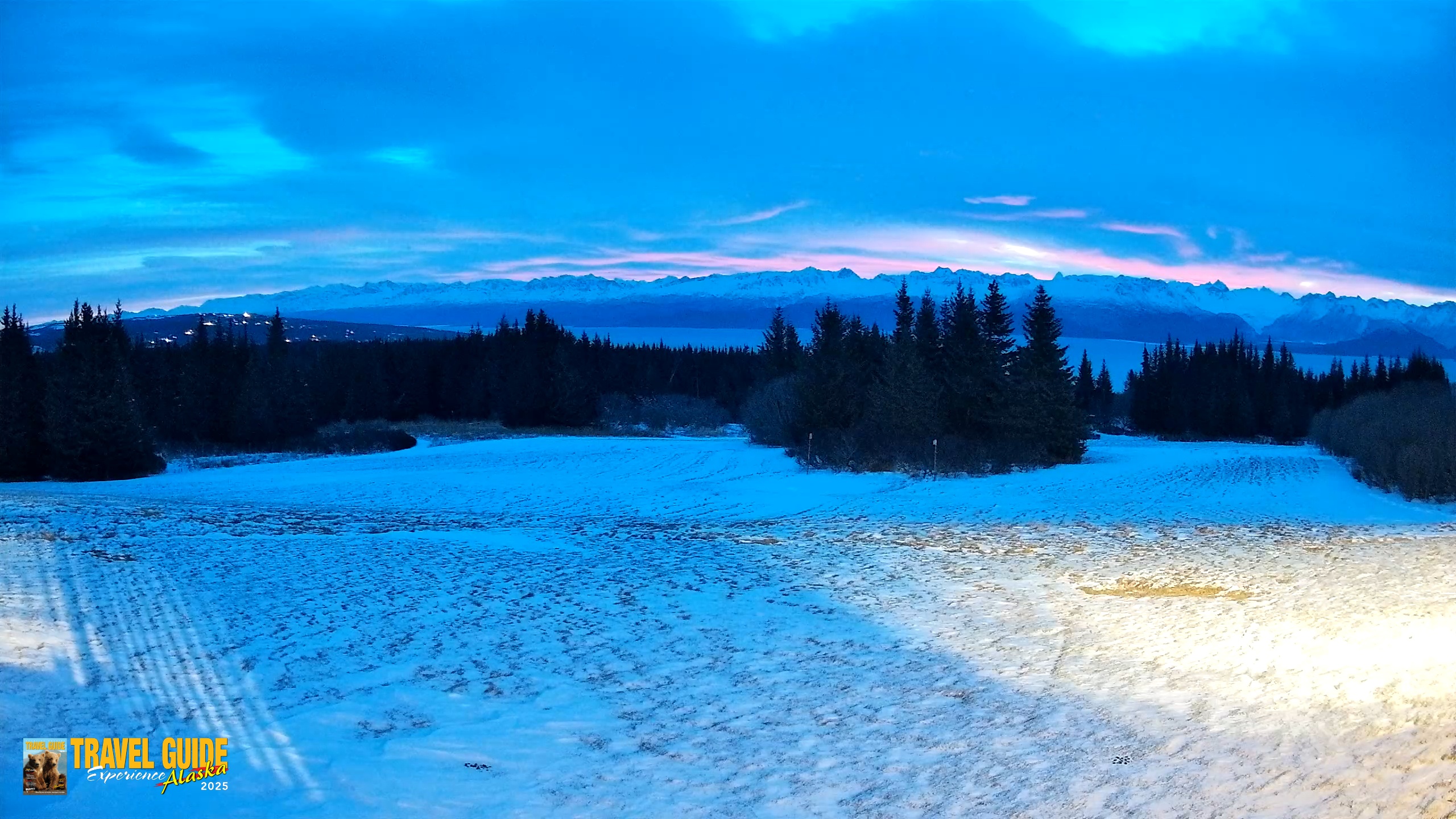 Snapshot of Homer Alaska Northern Lights Live Cam taken Jan 1, 2026, 8:37am AKST