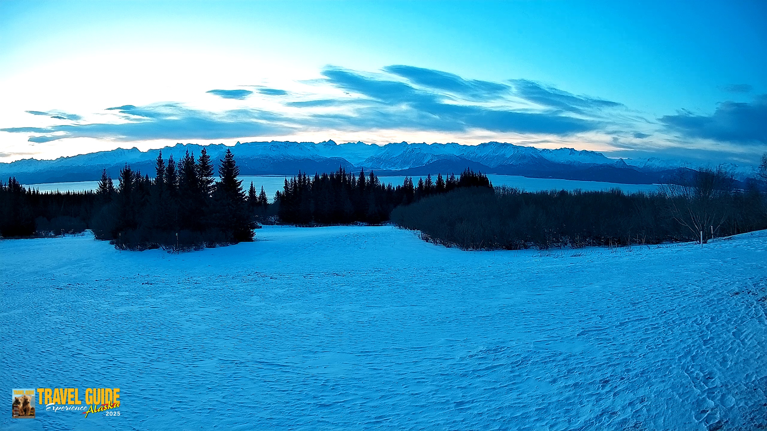 Snapshot of Homer Alaska Northern Lights Live Cam taken Mar 18, 2026, 7:50am AKDT