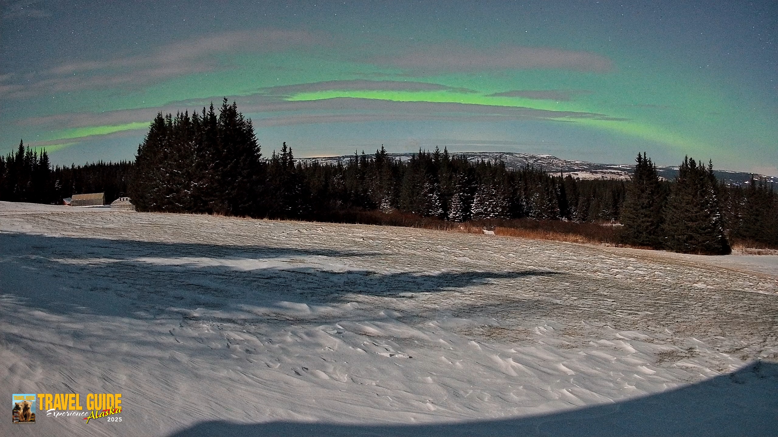 Snapshot of Homer Alaska Northern Lights Live Cam taken Dec 28, 2025, 11:56pm AKST