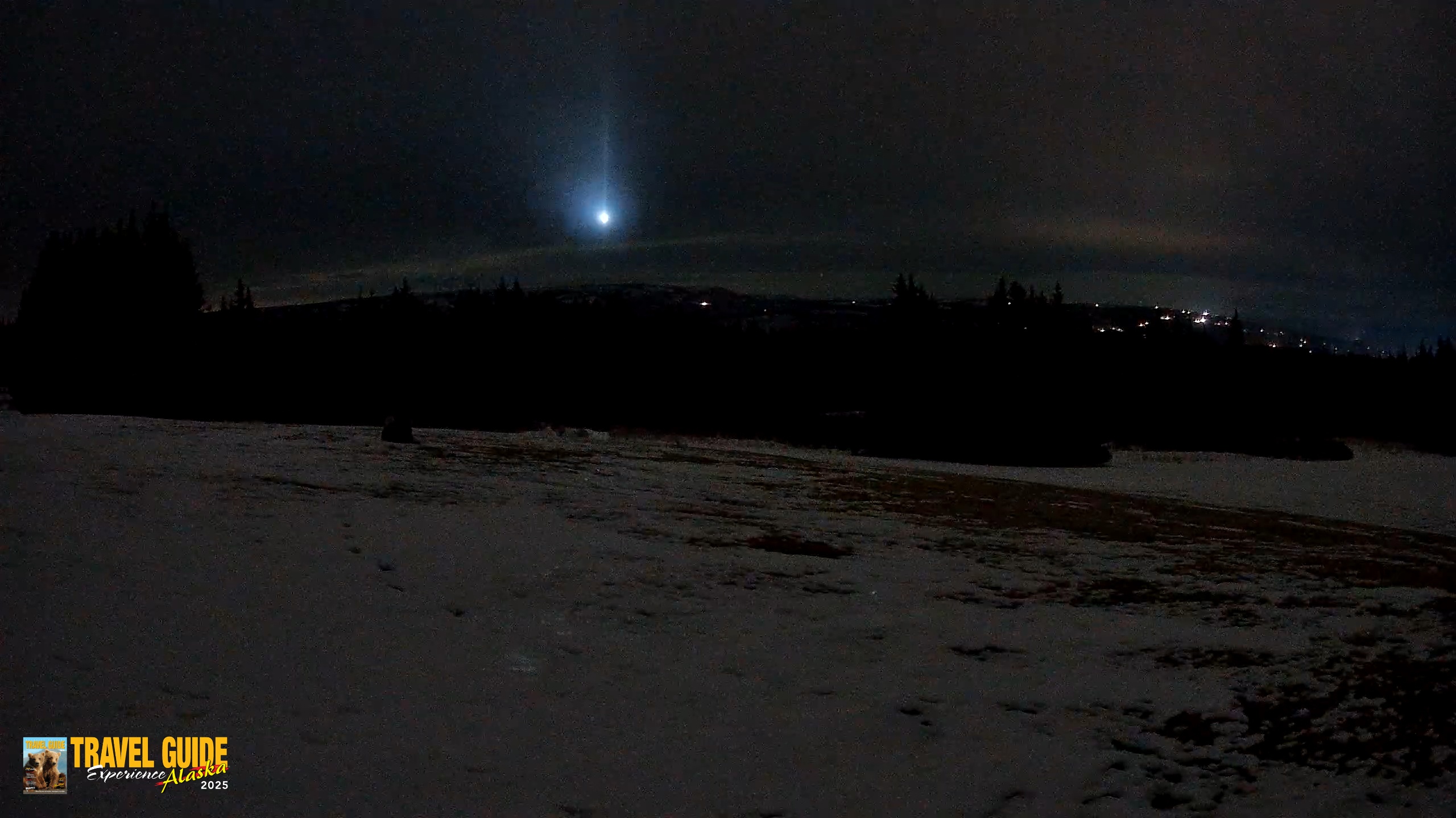 Snapshot of Homer Alaska Northern Lights Live Cam taken Apr 3, 2026, 11:17pm AKDT