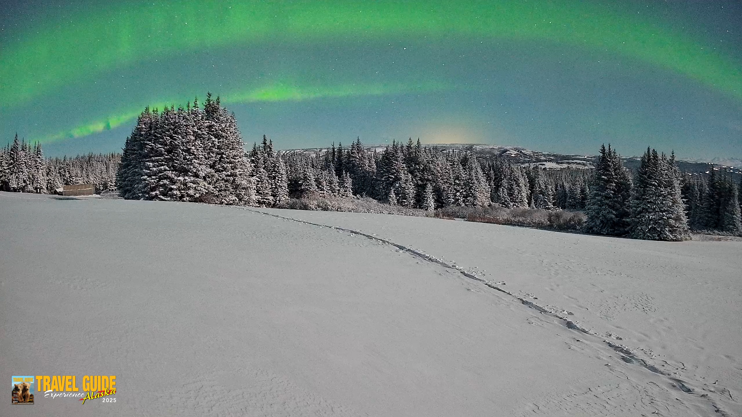Snapshot of Homer Alaska Northern Lights Live Cam taken Jan 8, 2026, 3:37am AKST