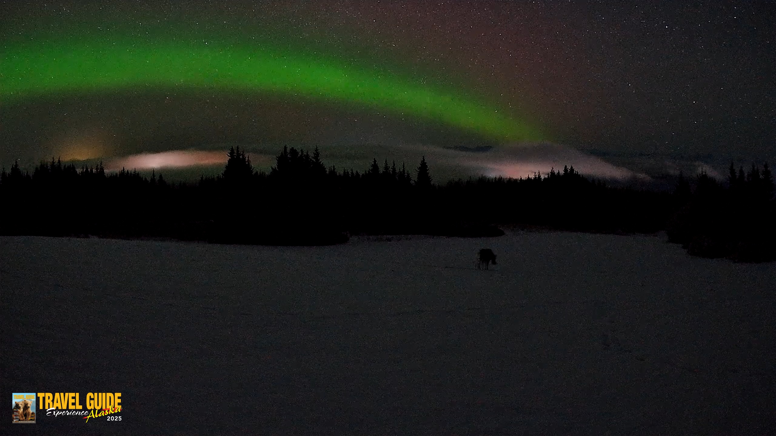 Snapshot of Homer Alaska Northern Lights Live Cam taken Feb 19, 2026, 3:18am AKST