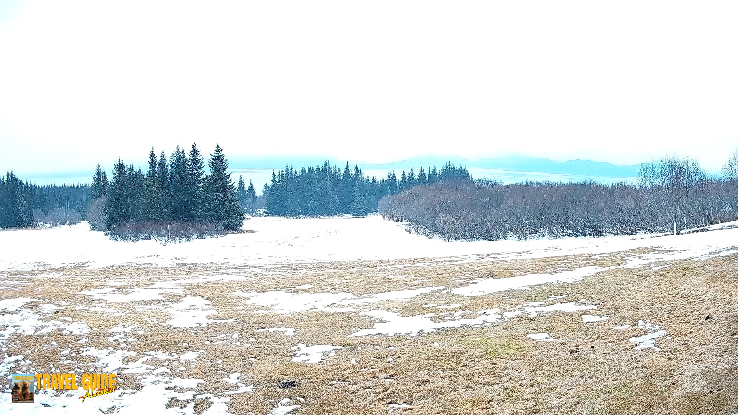 Snapshot of Homer Alaska Northern Lights Live Cam taken Apr 4, 2026, 11:33pm AKDT