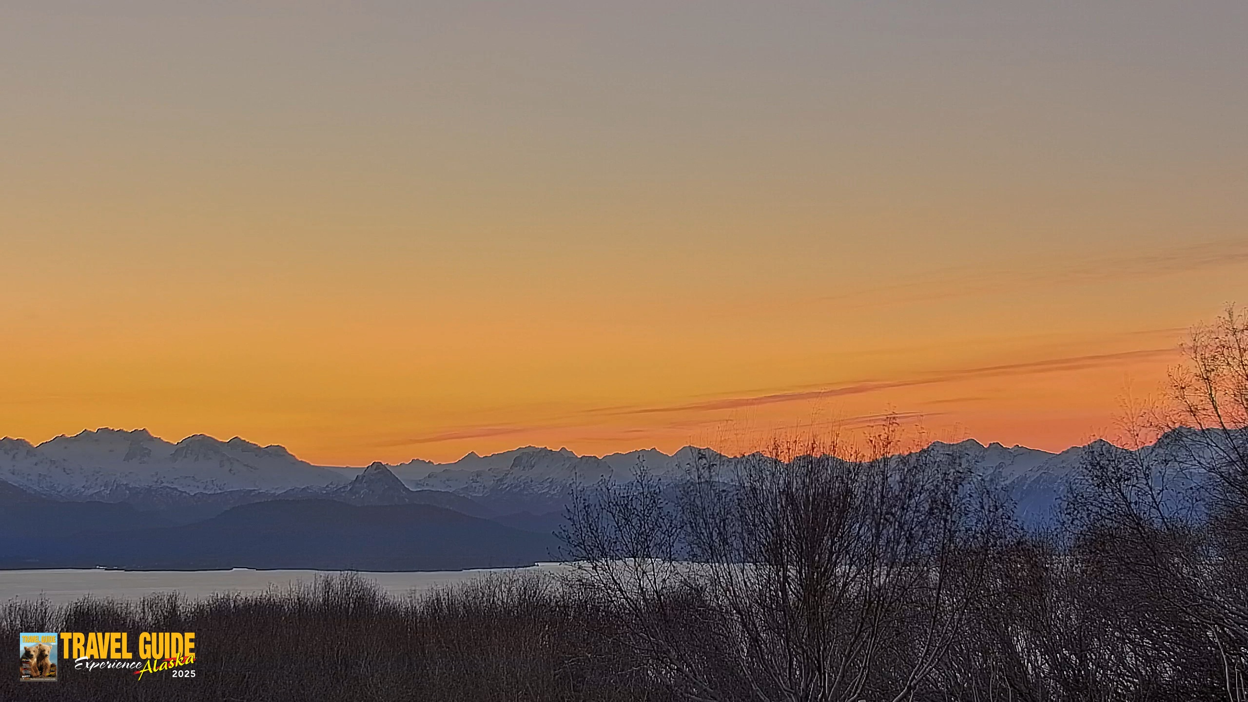 Snapshot of Homer Alaska Northern Lights Live Cam taken Dec 25, 2025, 9:43am AKST