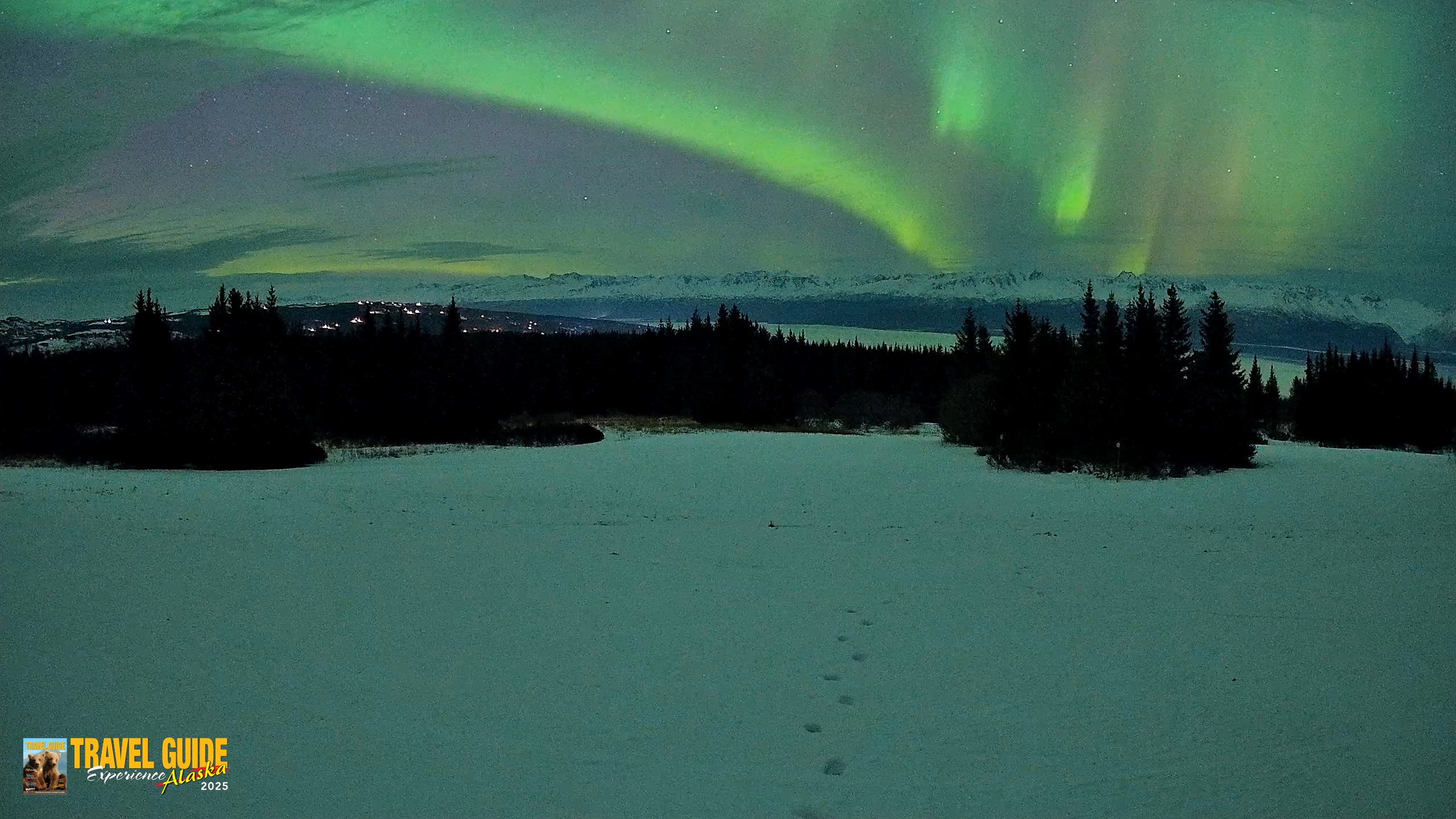 Snapshot of Homer Alaska Northern Lights Live Cam taken Jan 20, 2026, 9:58pm AKST