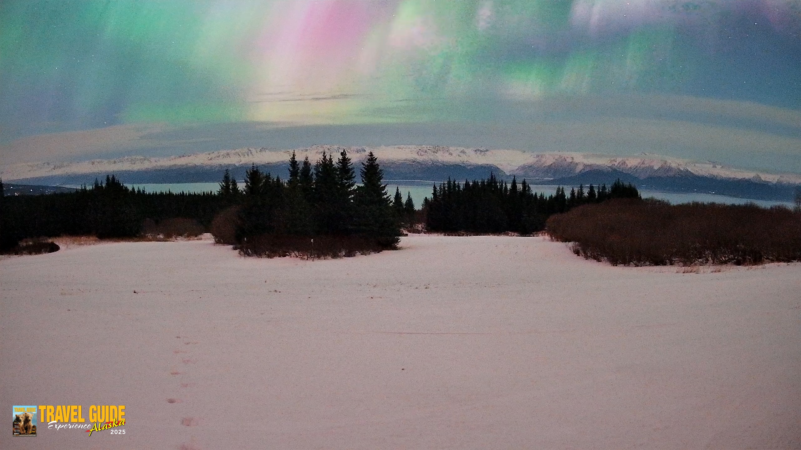 Snapshot of Homer Alaska Northern Lights Live Cam taken Jan 20, 2026, 6:21am AKST
