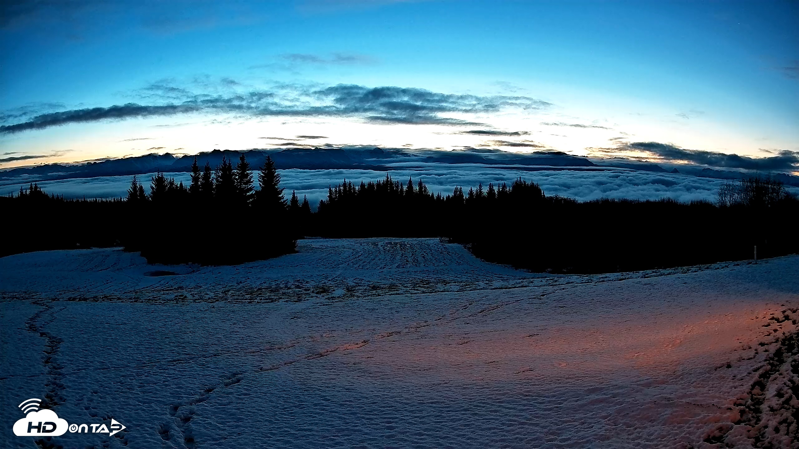 Snapshot of Homer Alaska Northern Lights Live Cam taken Nov 28, 2025, 8:25am AKST