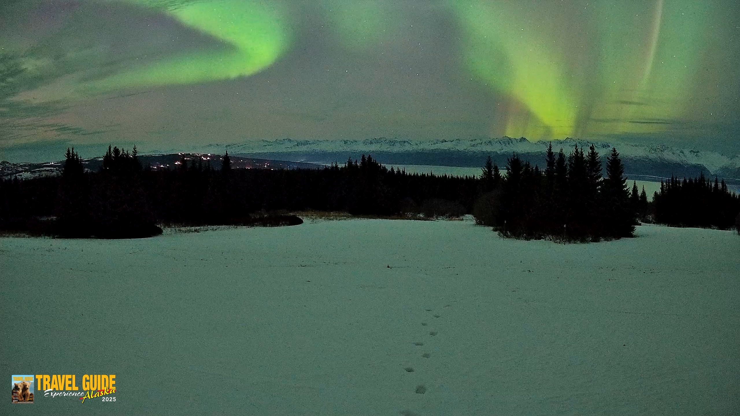 Snapshot of Homer Alaska Northern Lights Live Cam taken Jan 20, 2026, 10:24pm AKST