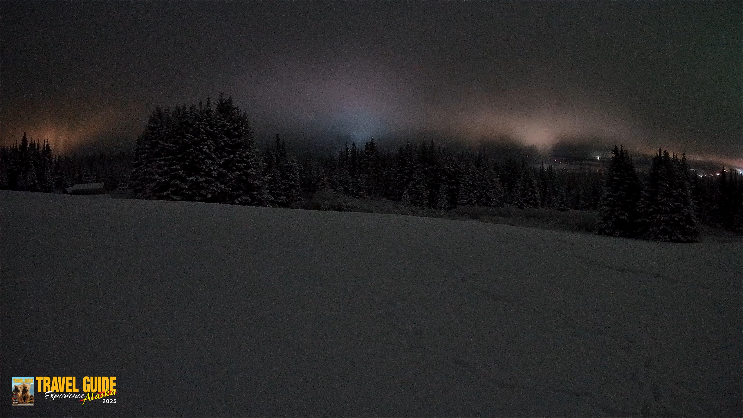 Snapshot of Homer Alaska Northern Lights Live Cam taken Jan 14, 2026, 1:29am AKST