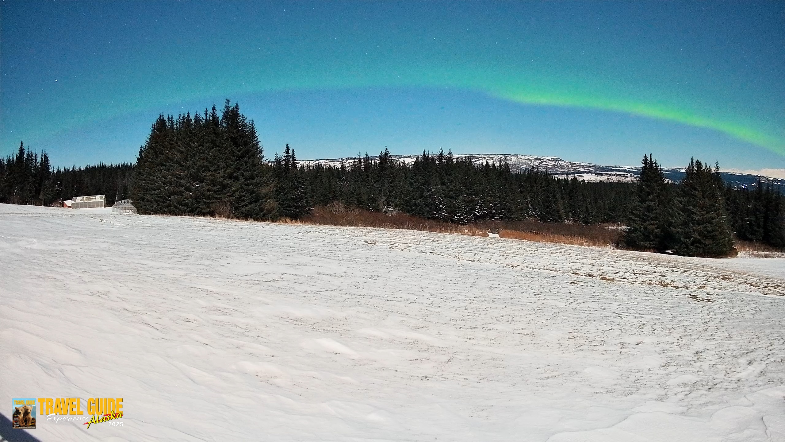 Snapshot of Homer Alaska Northern Lights Live Cam taken Dec 31, 2025, 11:23pm AKST