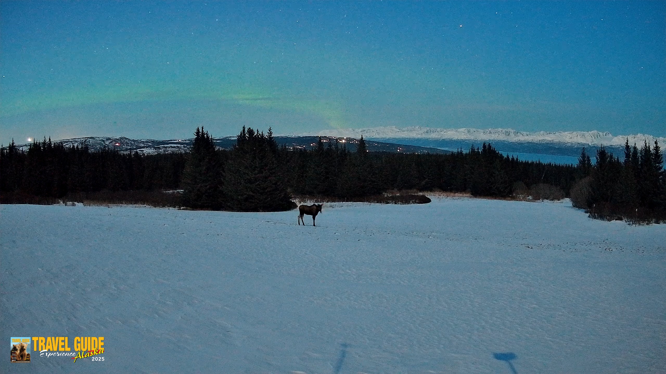 Snapshot of Homer Alaska Northern Lights Live Cam taken Mar 23, 2026, 10:02pm AKDT