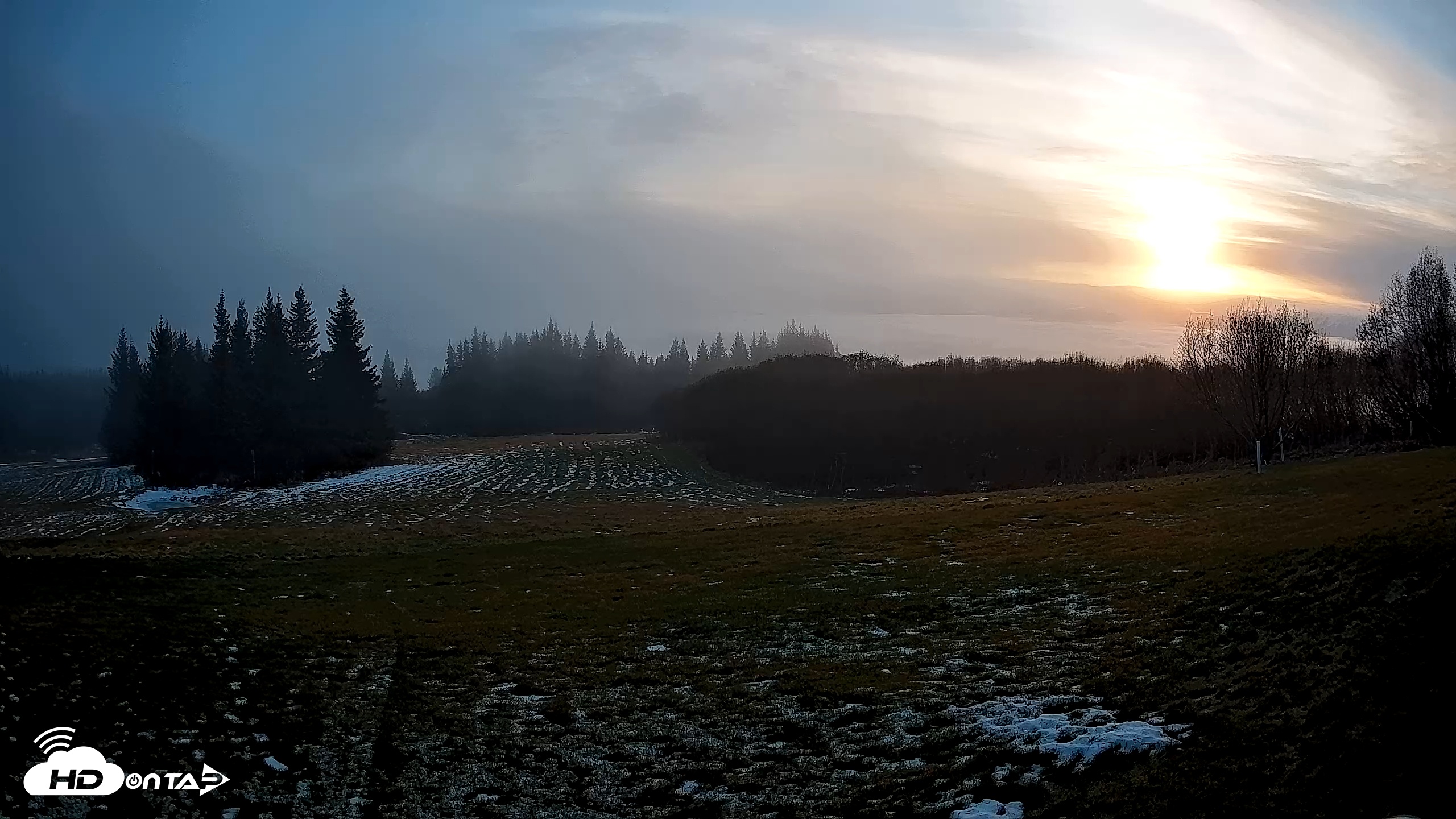 Snapshot of Homer Alaska Northern Lights Live Cam taken Dec 4, 2025, 10:49am AKST