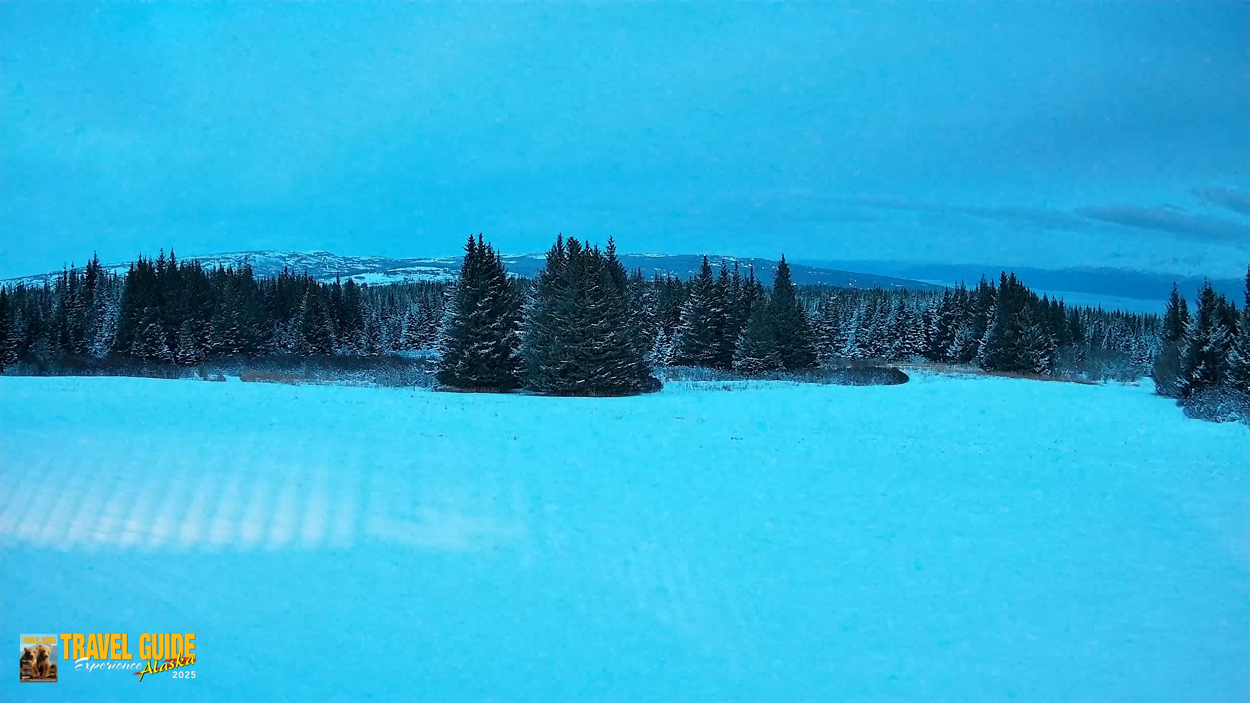 Snapshot of Homer Alaska Northern Lights Live Cam taken Feb 11, 2026, 6:37pm AKST