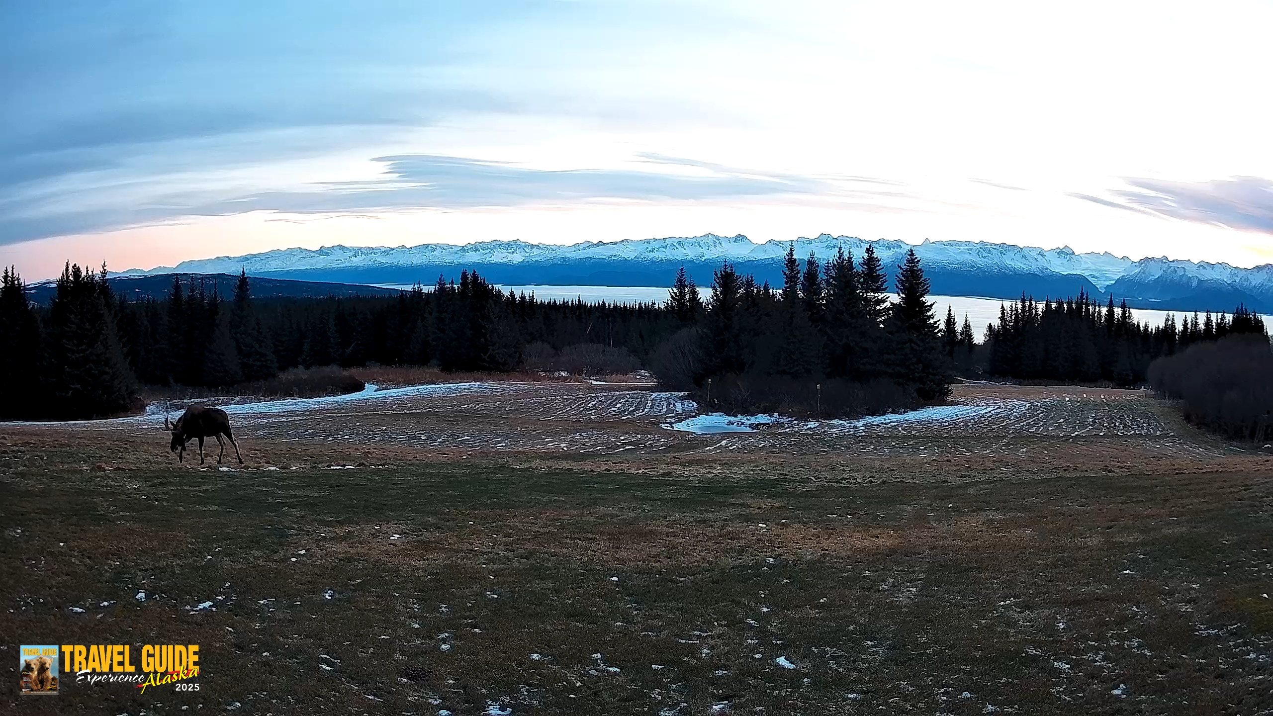 Snapshot of Homer Alaska Northern Lights Live Cam taken Dec 19, 2025, 11:30am AKST