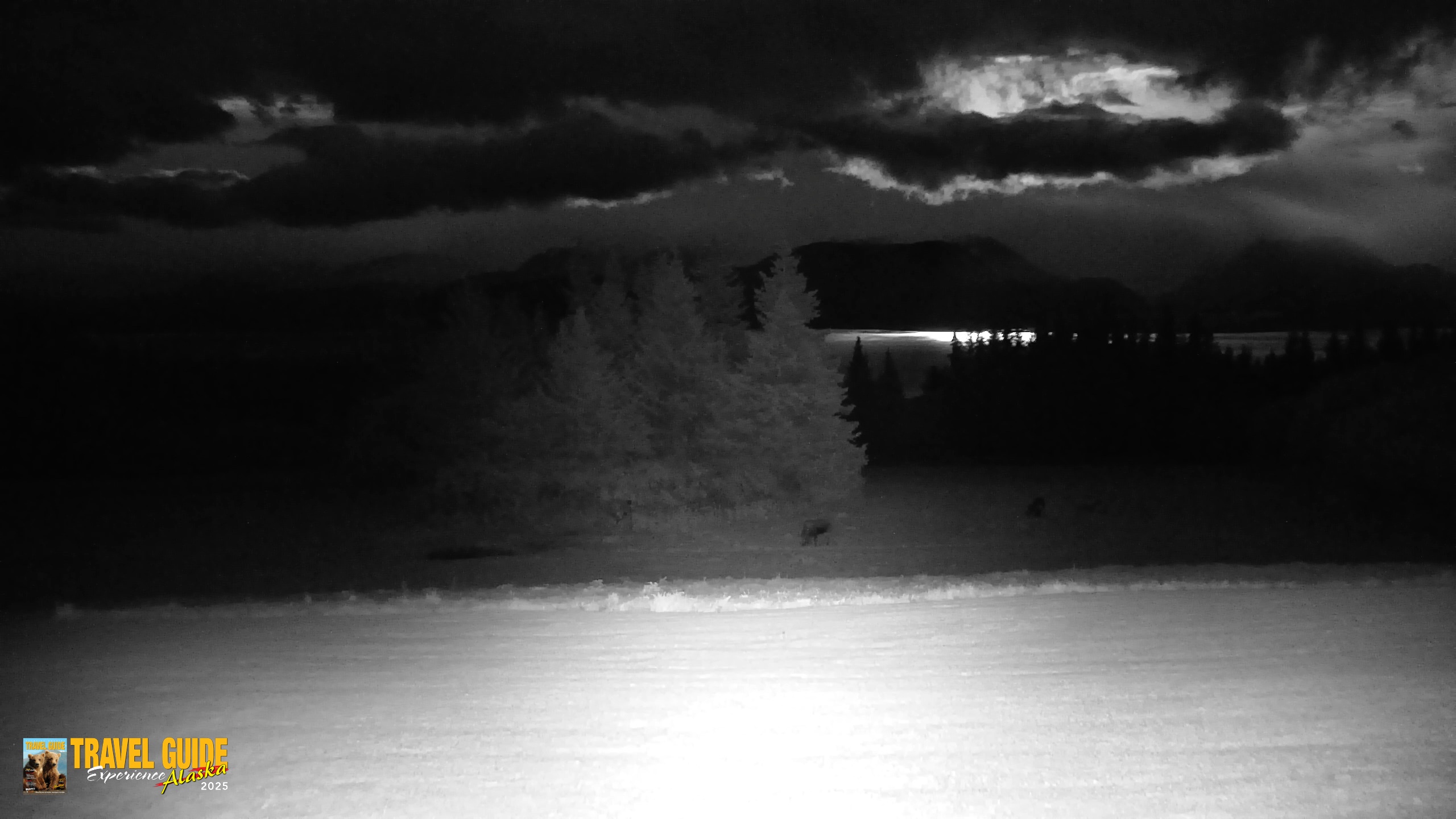 Snapshot of Homer Alaska Northern Lights Live Cam taken Sep 25, 2026, 9:37pm AKDT