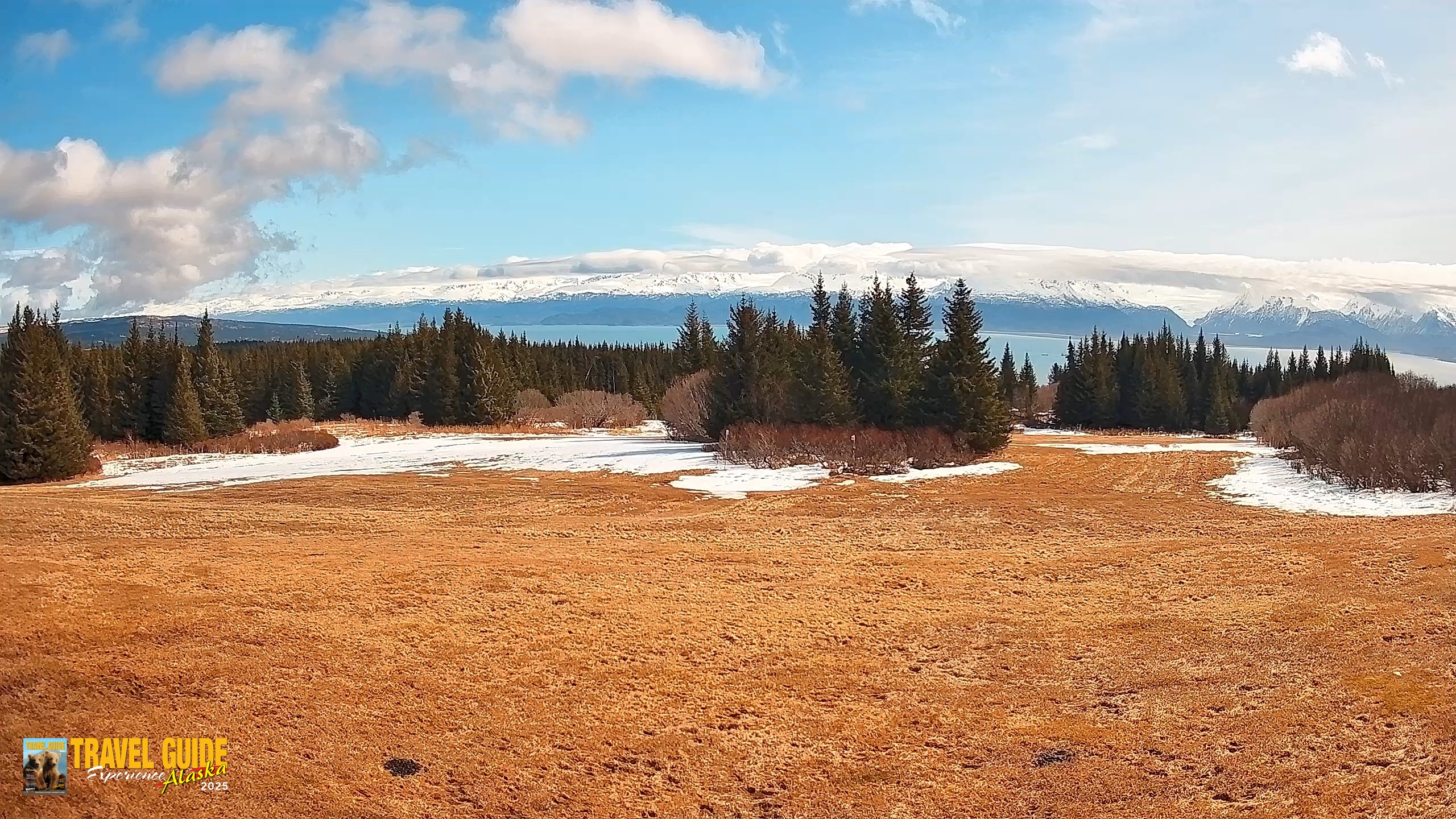 Snapshot of Homer Alaska Northern Lights Live Cam taken Apr 21, 2026, 1:17pm AKDT