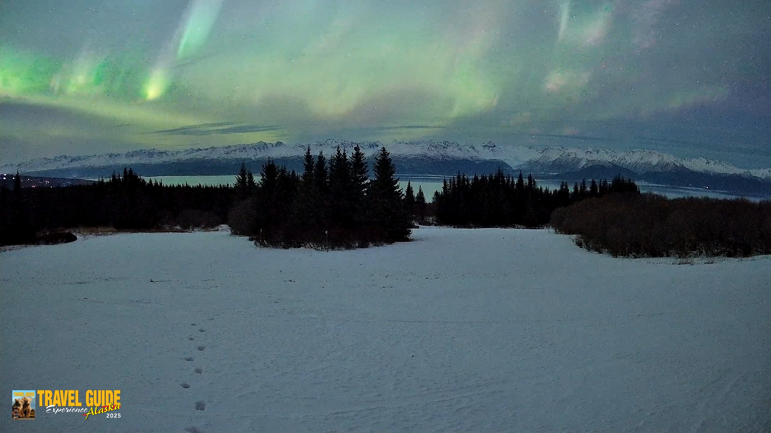 Snapshot of Homer Alaska Northern Lights Live Cam taken Jan 20, 2026, 11:13pm AKST