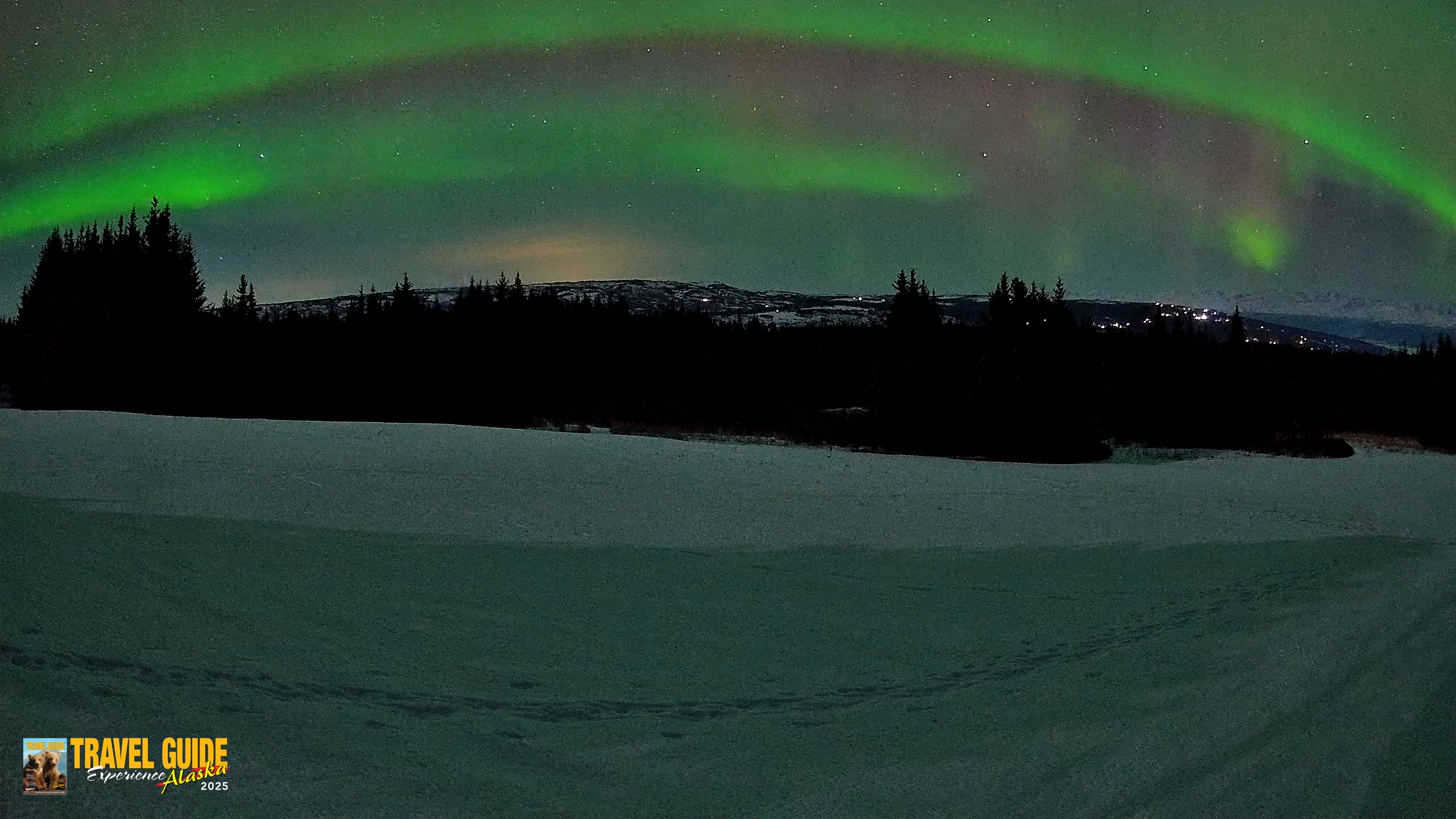 Snapshot of Homer Alaska Northern Lights Live Cam taken Feb 21, 2026, 10:21pm AKST