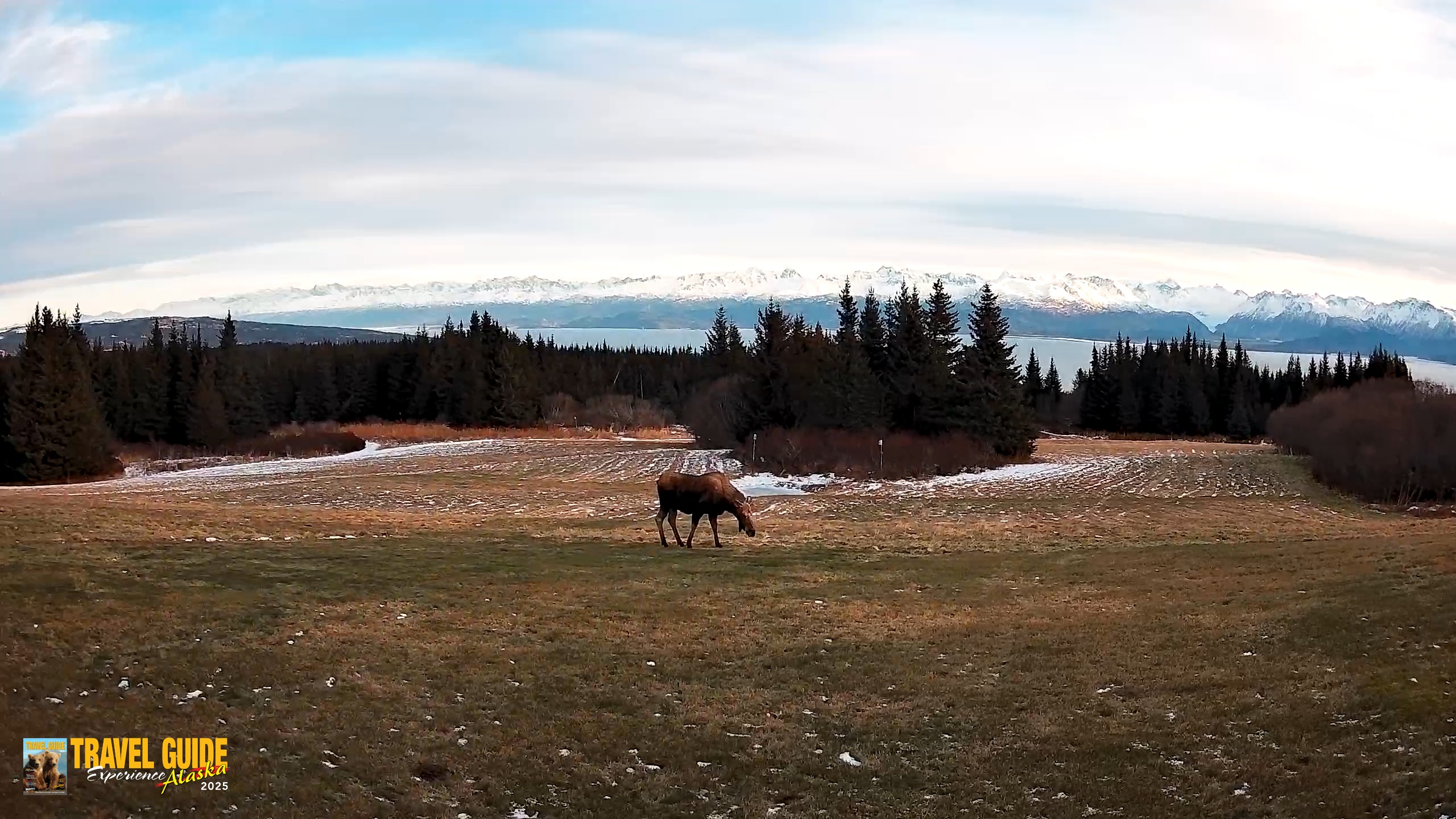 Snapshot of Homer Alaska Northern Lights Live Cam taken Dec 22, 2025, 2:26pm AKST