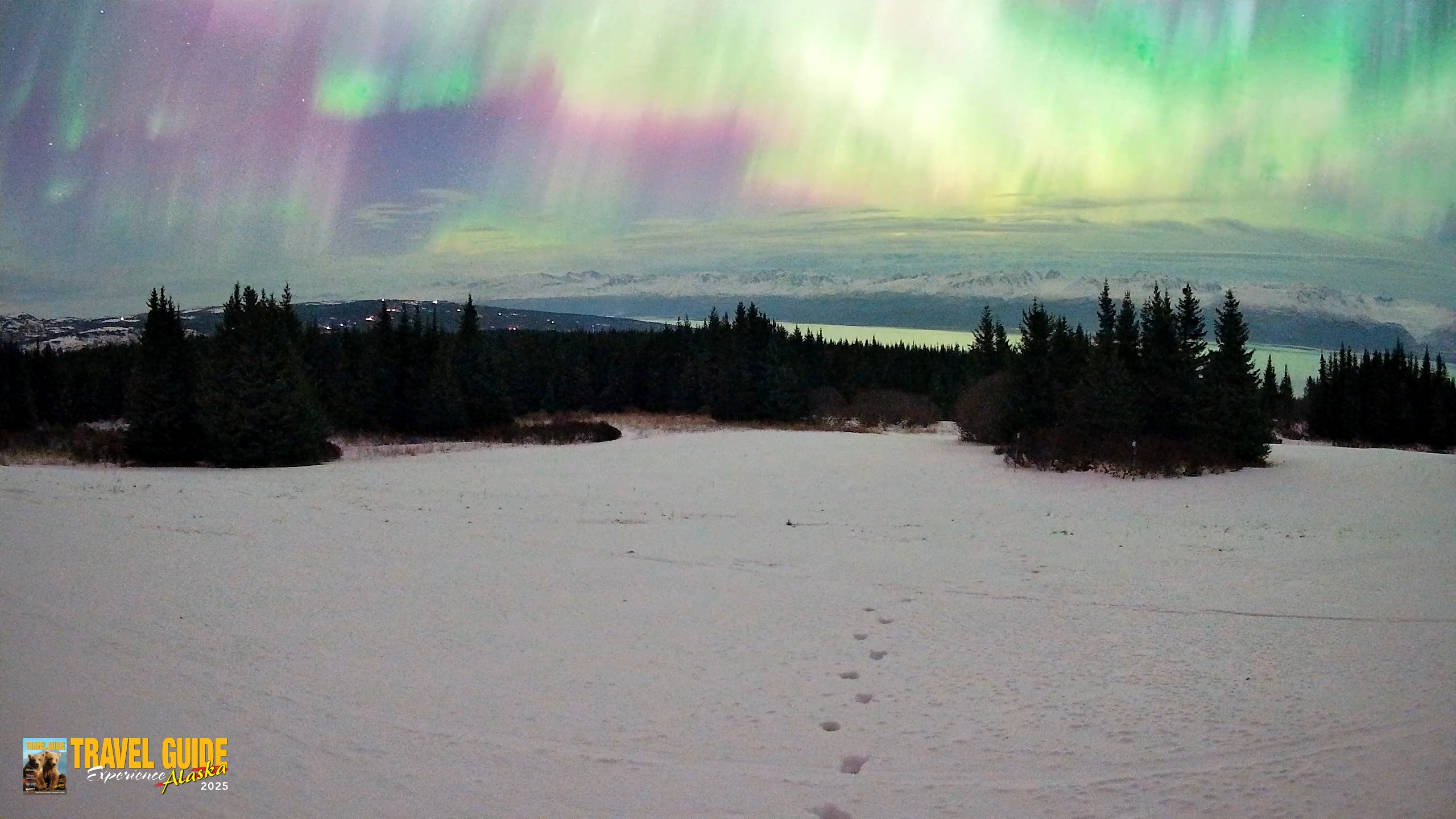Snapshot of Homer Alaska Northern Lights Live Cam taken Jan 20, 2026, 4:51am AKST