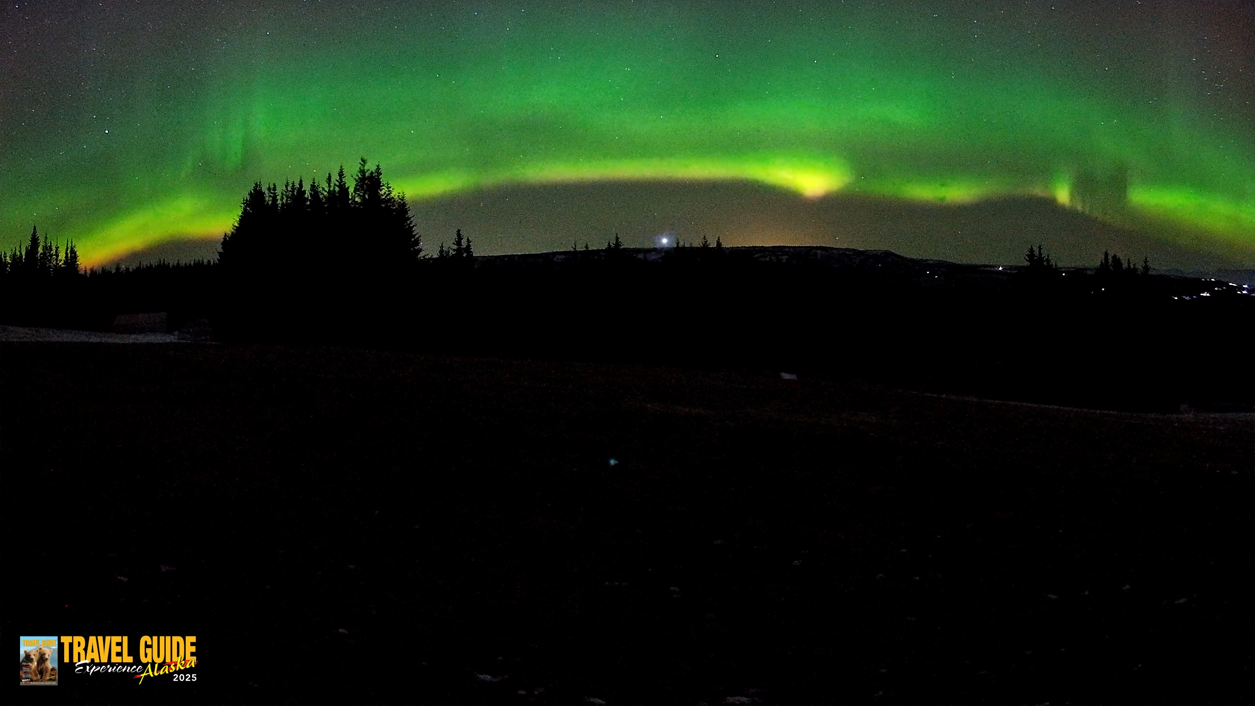 Snapshot of Homer Alaska Northern Lights Live Cam taken Dec 22, 2025, 4:01am AKST