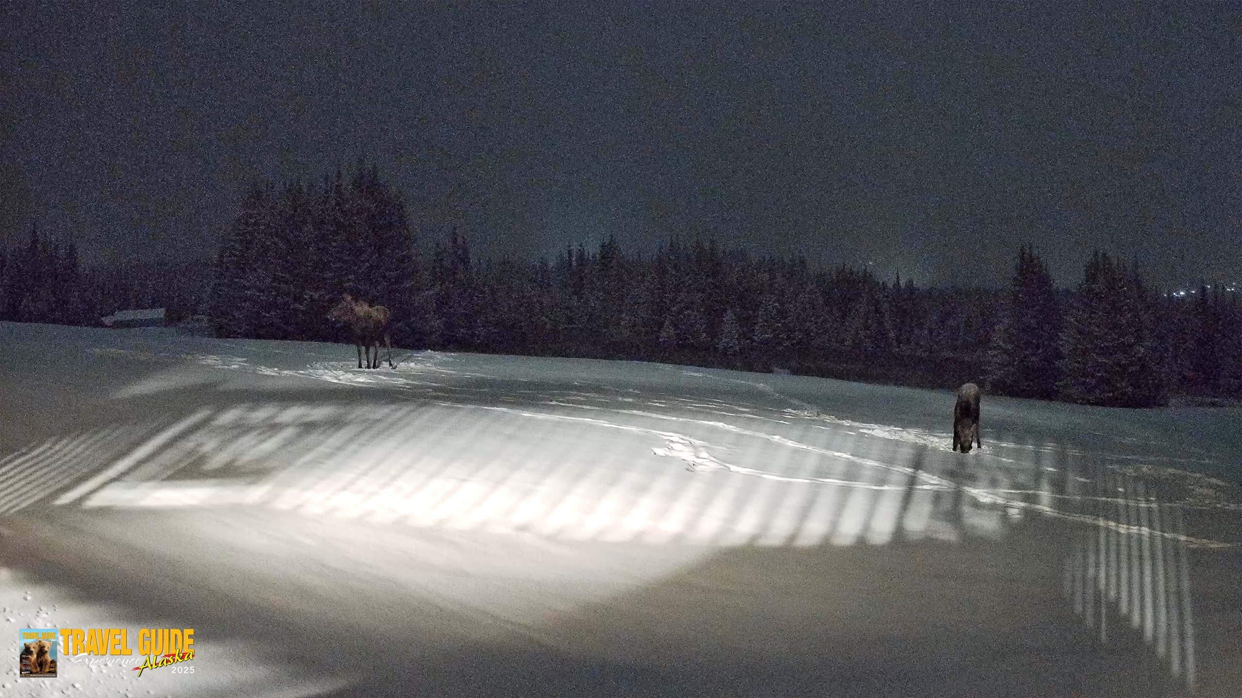 Snapshot of Homer Alaska Northern Lights Live Cam taken Jan 5, 2026, 10:00pm AKST