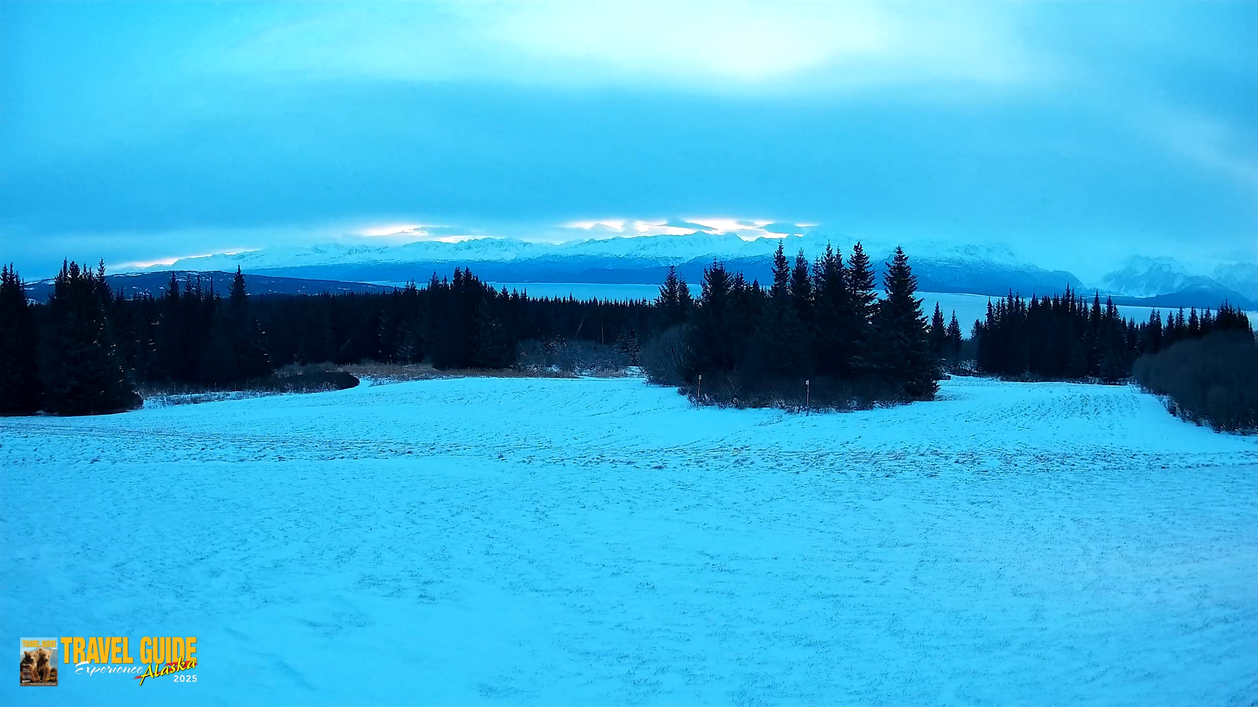 Snapshot of Homer Alaska Northern Lights Live Cam taken Dec 30, 2025, 9:52am AKST