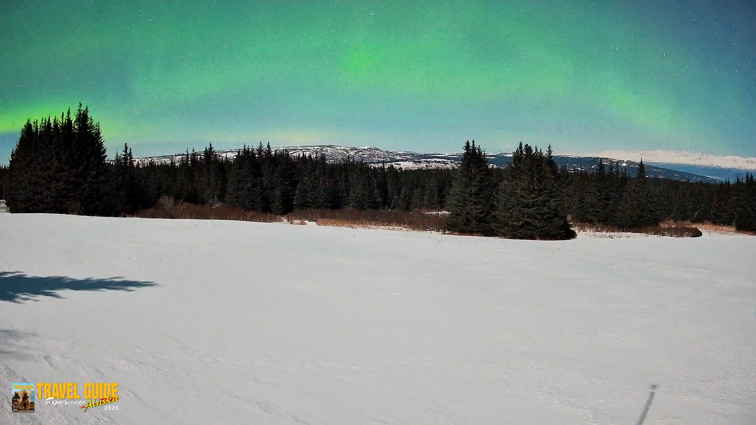 Snapshot of Homer Alaska Northern Lights Live Cam taken Feb 26, 2026, 12:18am AKST