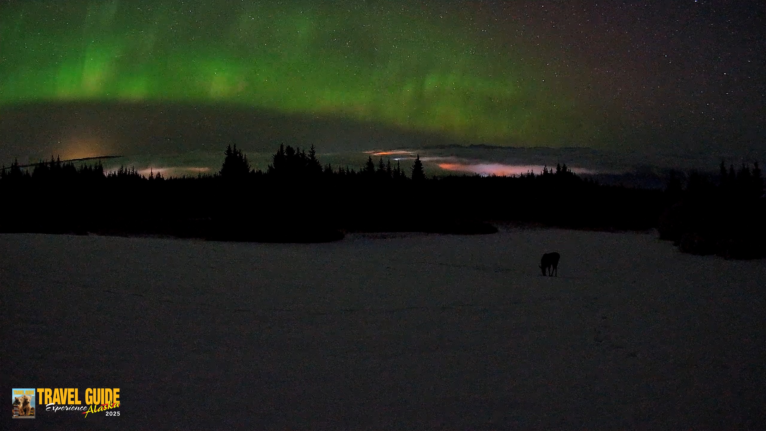 Snapshot of Homer Alaska Northern Lights Live Cam taken Feb 19, 2026, 3:46am AKST