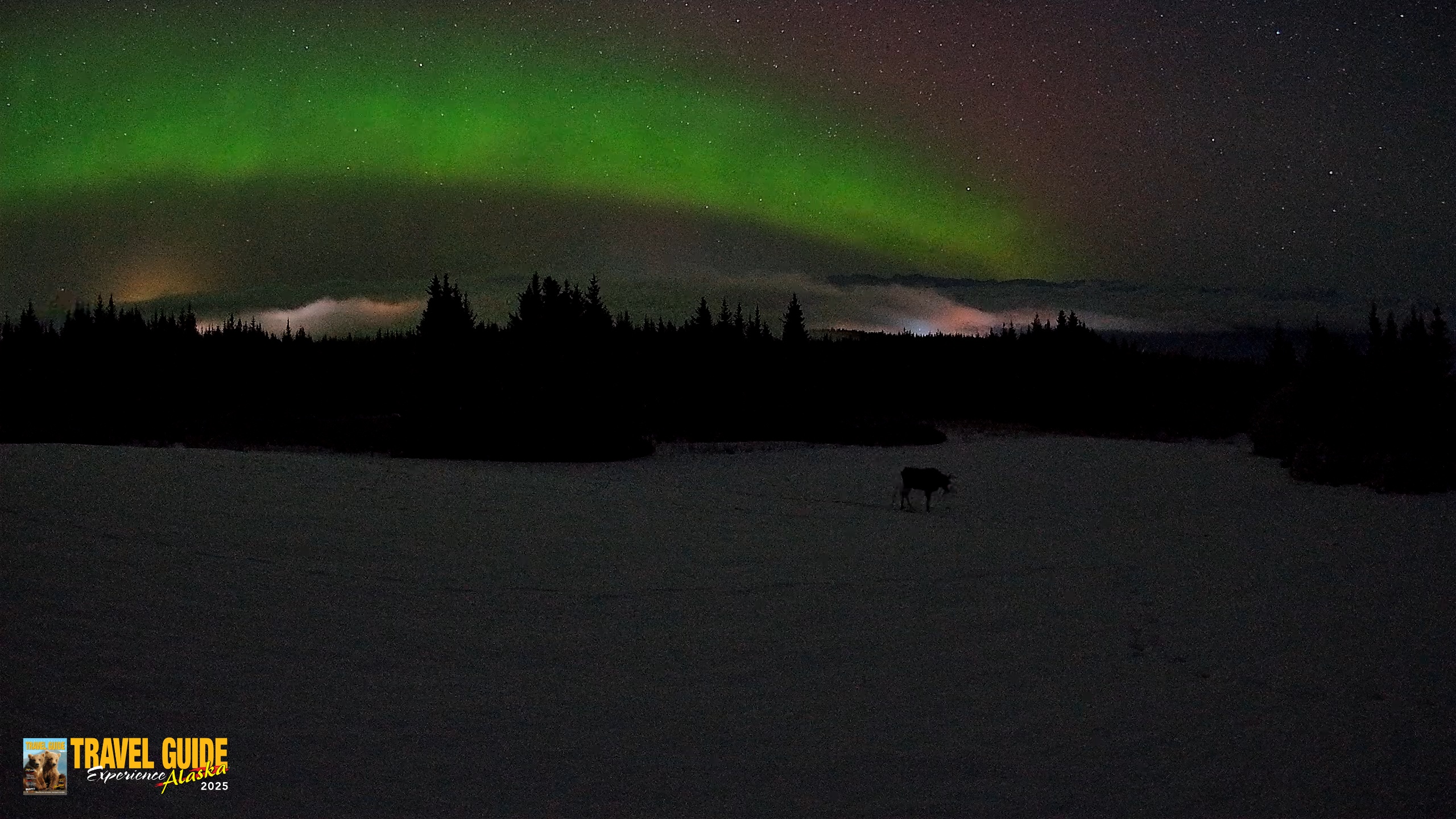 Snapshot of Homer Alaska Northern Lights Live Cam taken Feb 19, 2026, 3:28am AKST
