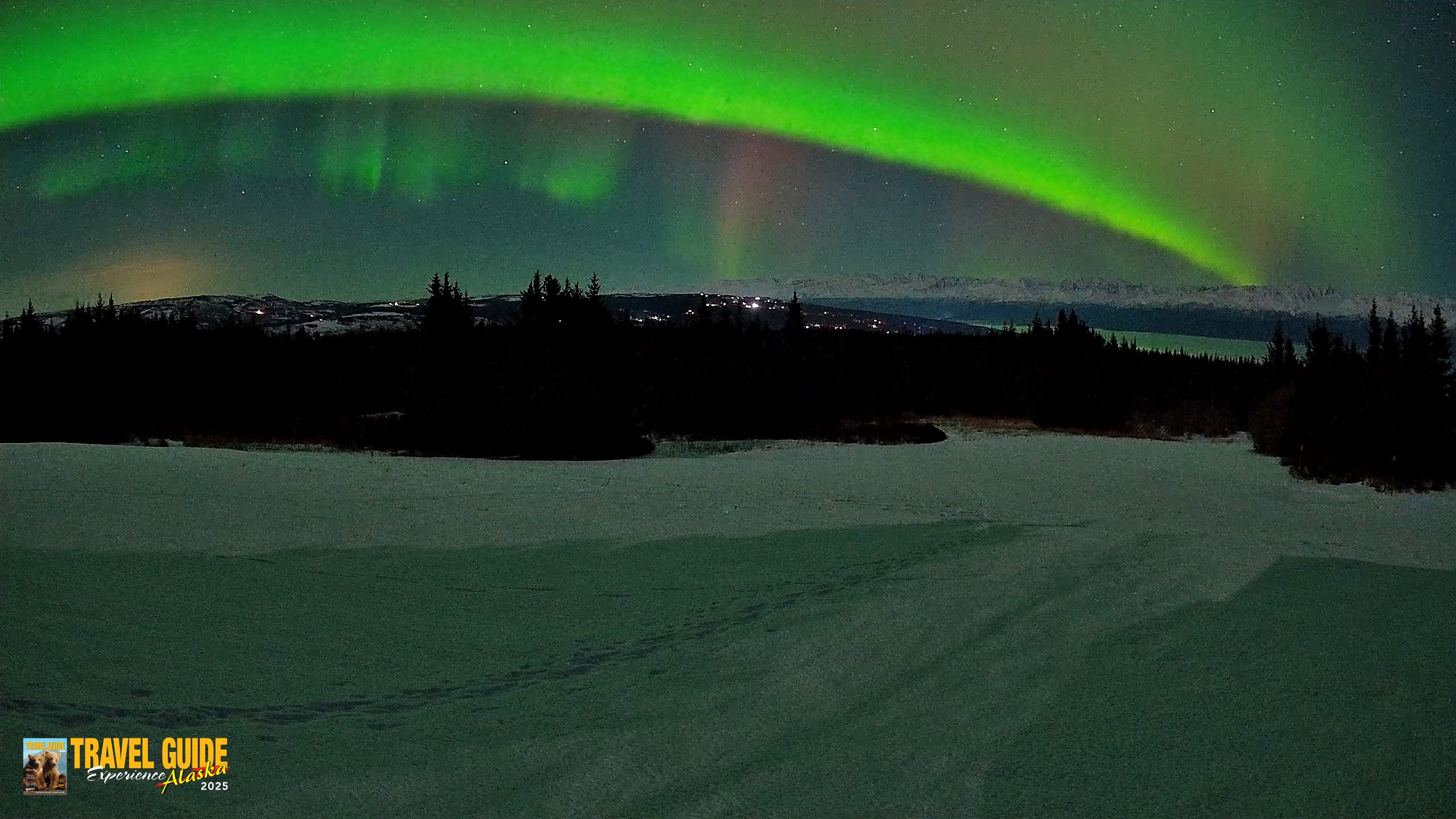 Snapshot of Homer Alaska Northern Lights Live Cam taken Feb 21, 2026, 10:16pm AKST