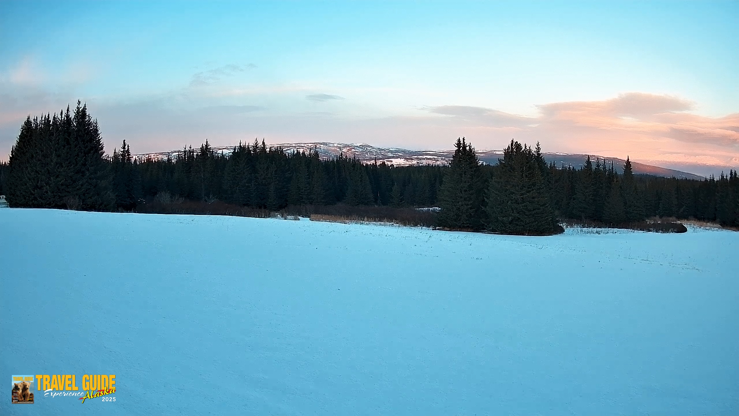 Snapshot of Homer Alaska Northern Lights Live Cam taken Feb 19, 2026, 5:53pm AKST