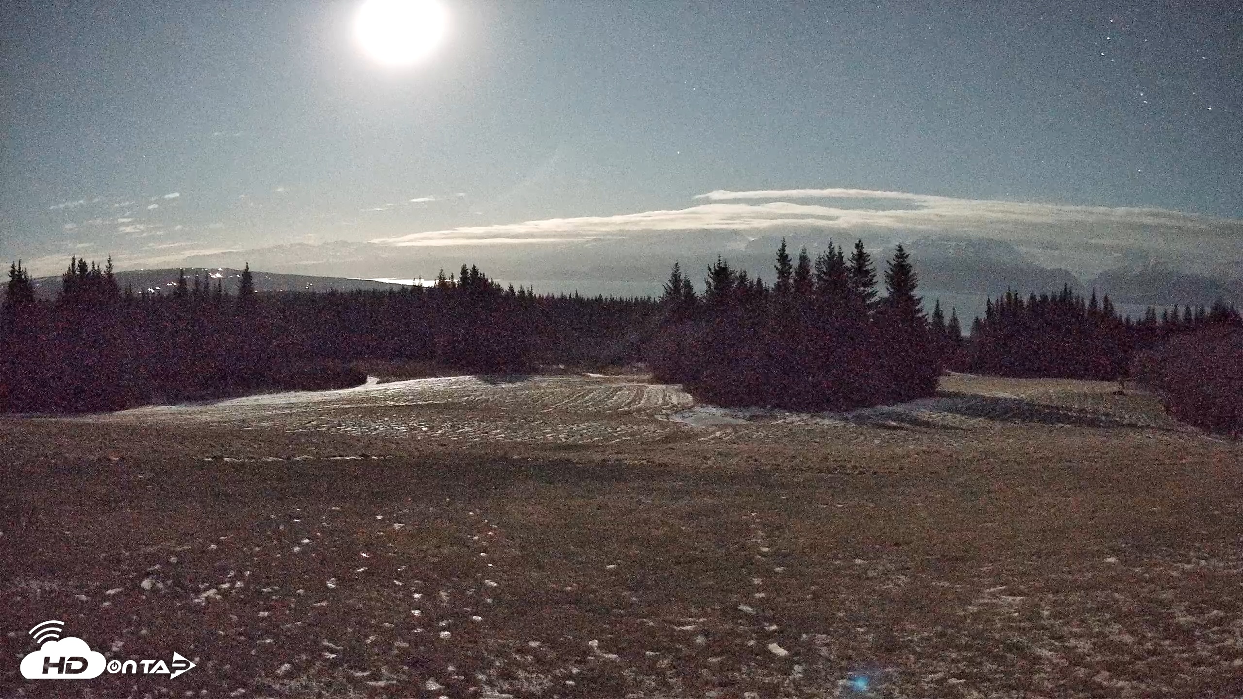 Snapshot of Homer Alaska Northern Lights Live Cam taken Dec 7, 2025, 11:53pm AKST