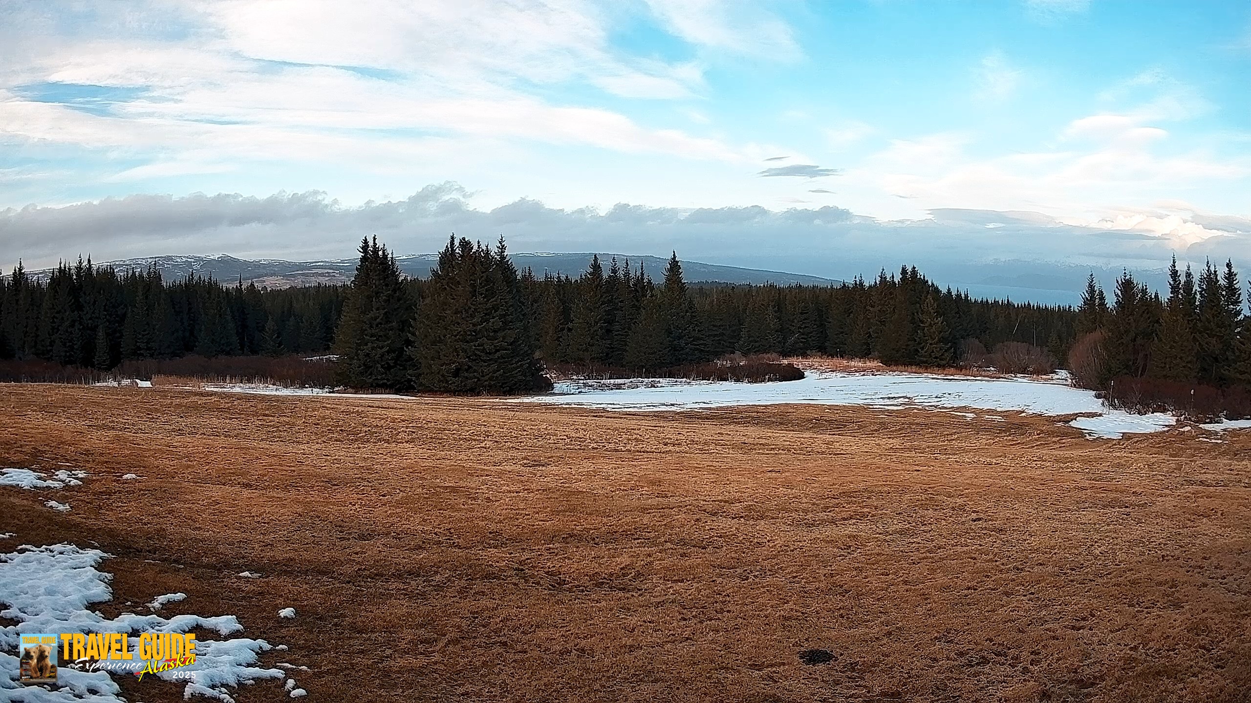 Snapshot of Homer Alaska Northern Lights Live Cam taken Apr 19, 2026, 8:21pm AKDT