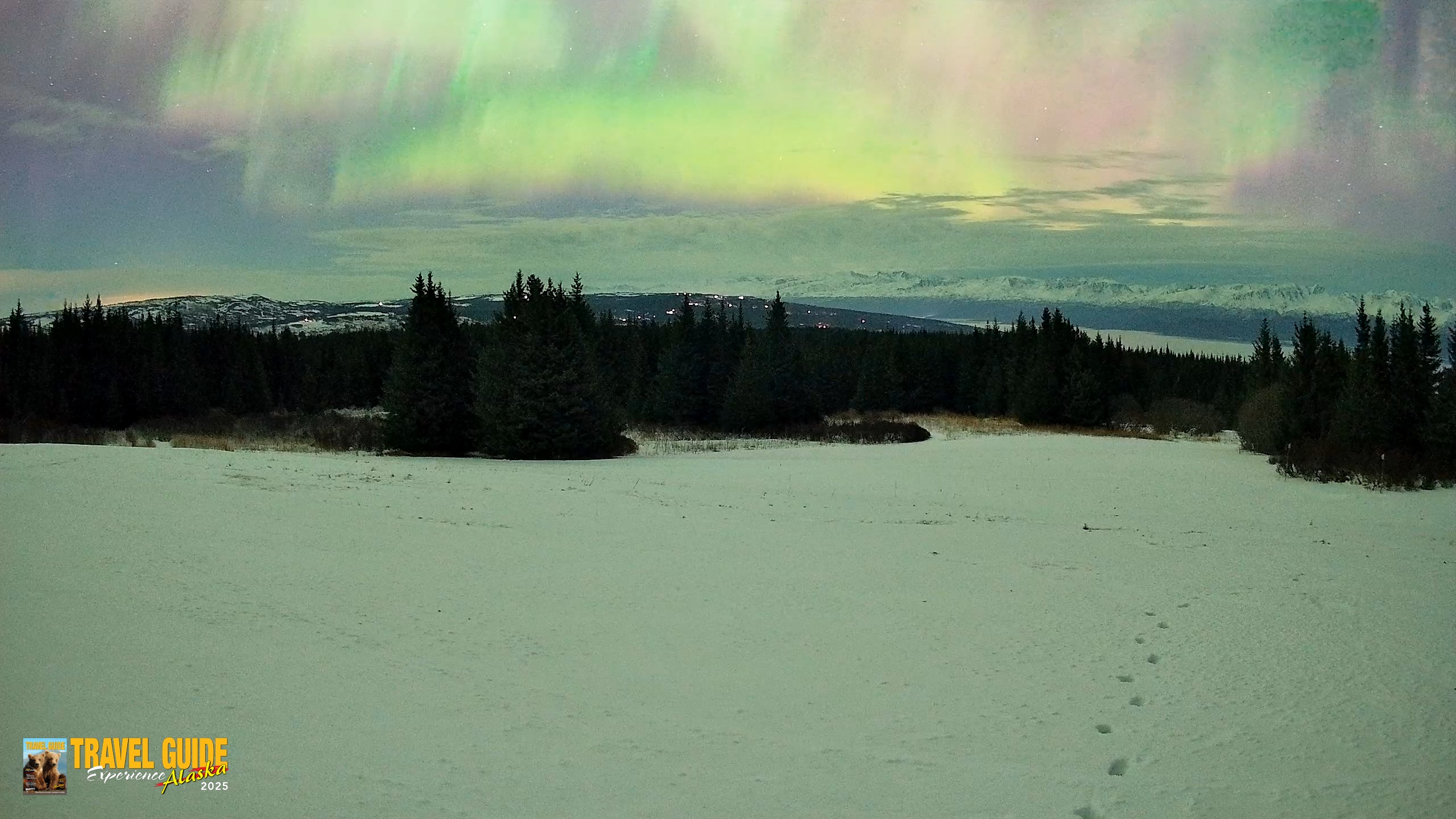 Snapshot of Homer Alaska Northern Lights Live Cam taken Jan 20, 2026, 5:50am AKST