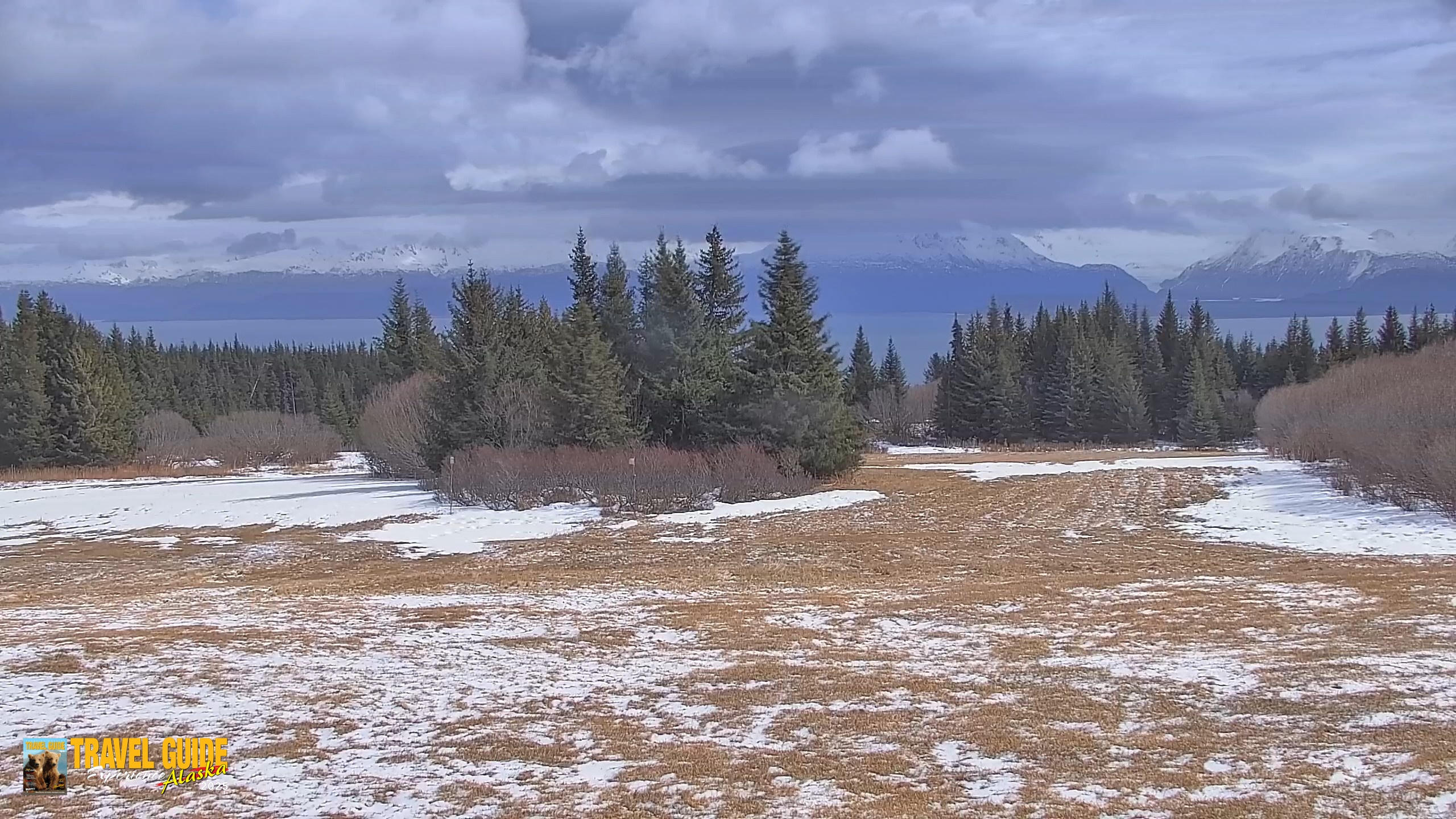Snapshot of Homer Alaska Northern Lights Live Cam taken Apr 20, 2026, 2:10pm AKDT