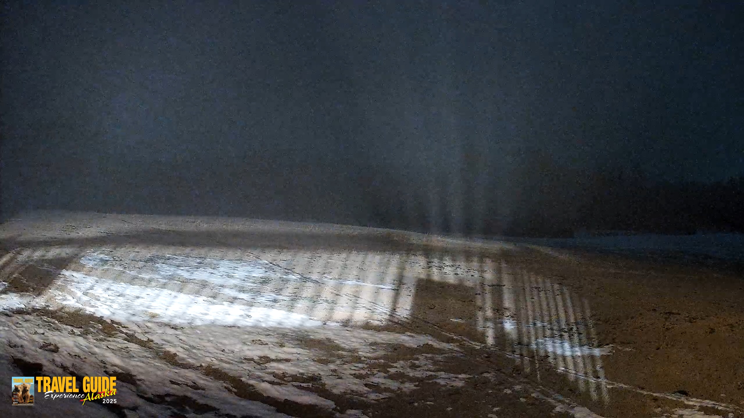 Snapshot of Homer Alaska Northern Lights Live Cam taken Feb 8, 2026, 10:20pm AKST