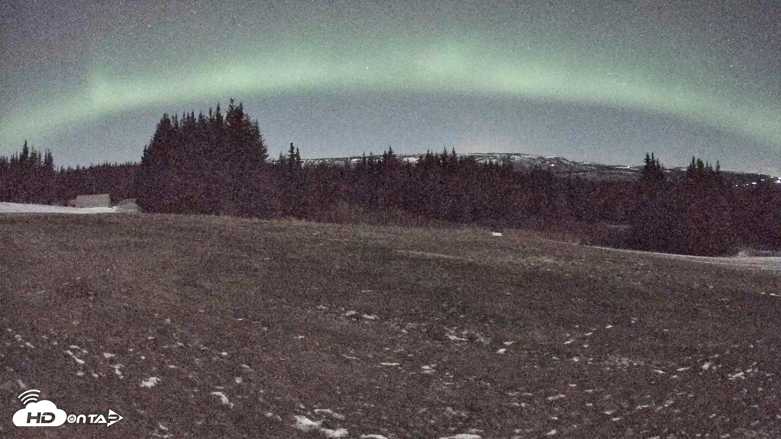 Snapshot of Homer Alaska Northern Lights Live Cam taken Dec 10, 2025, 3:45am AKST