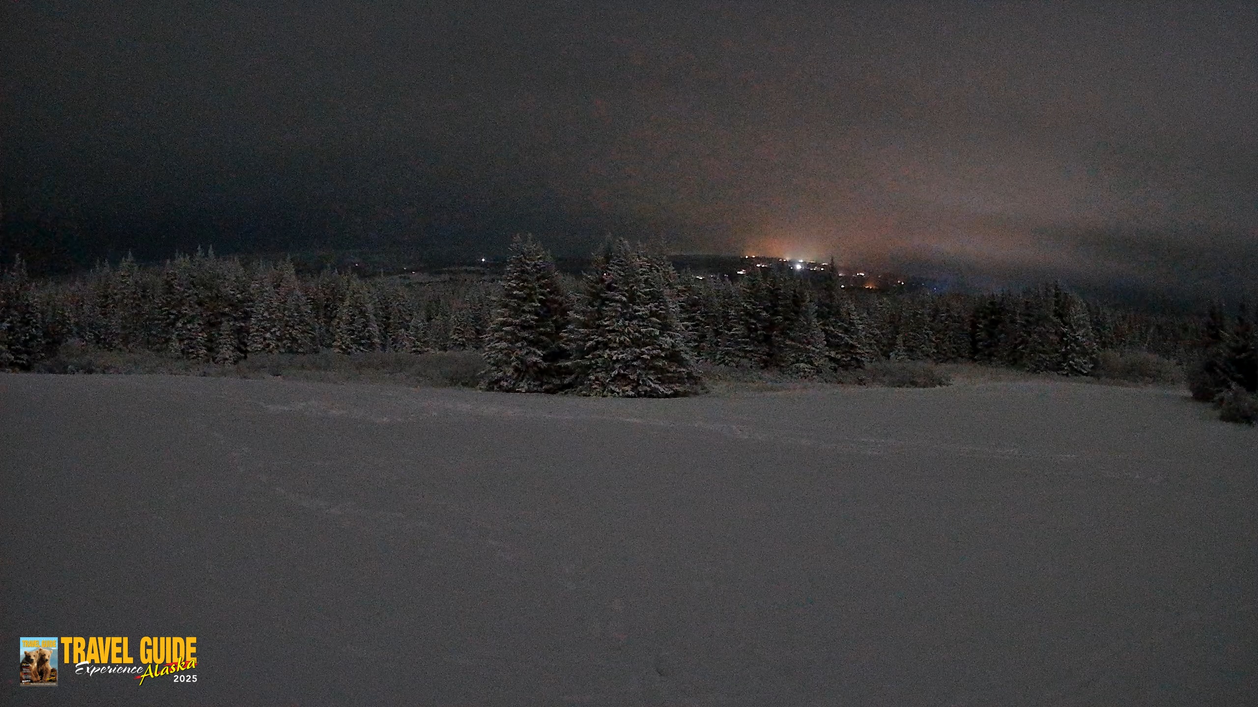 Snapshot of Homer Alaska Northern Lights Live Cam taken Jan 13, 2026, 12:19am AKST