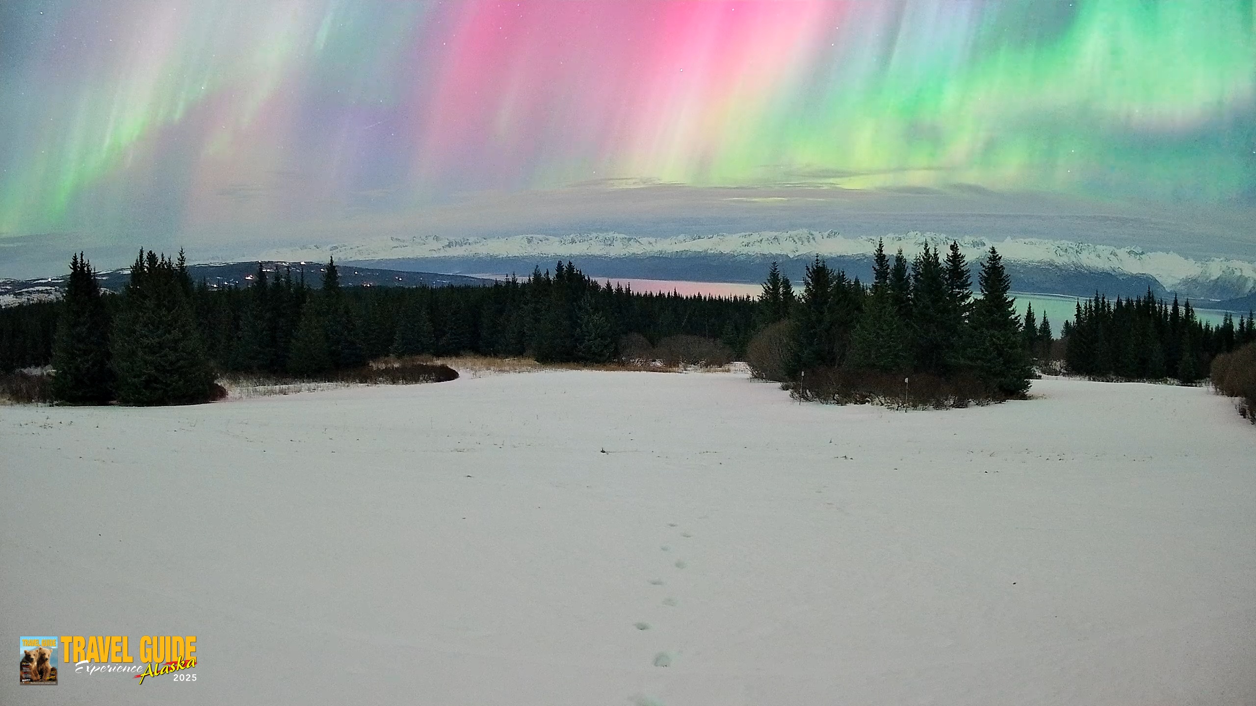 Snapshot of Homer Alaska Northern Lights Live Cam taken Jan 20, 2026, 4:52am AKST