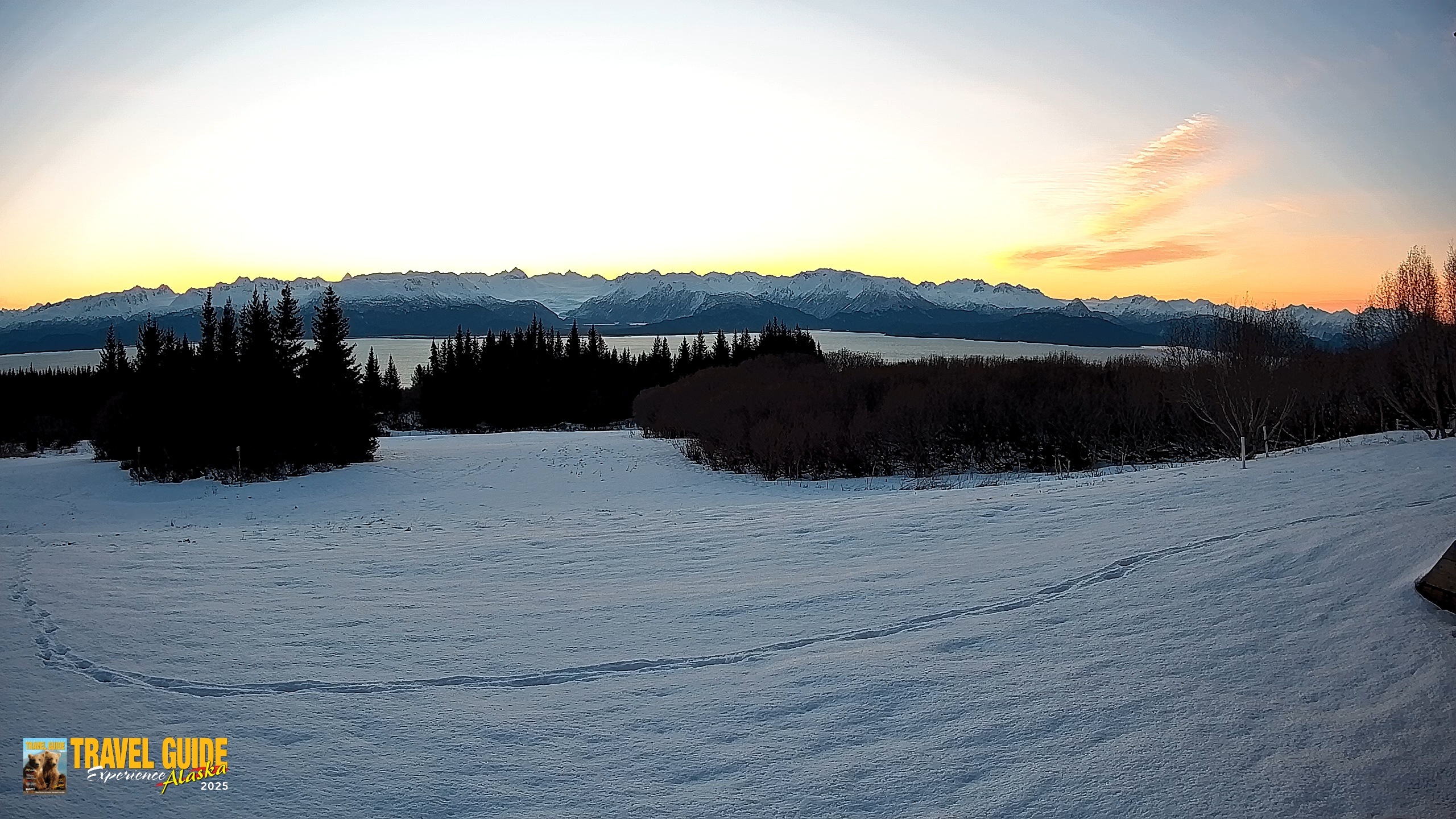 Snapshot of Homer Alaska Northern Lights Live Cam taken Feb 16, 2026, 8:41am AKST