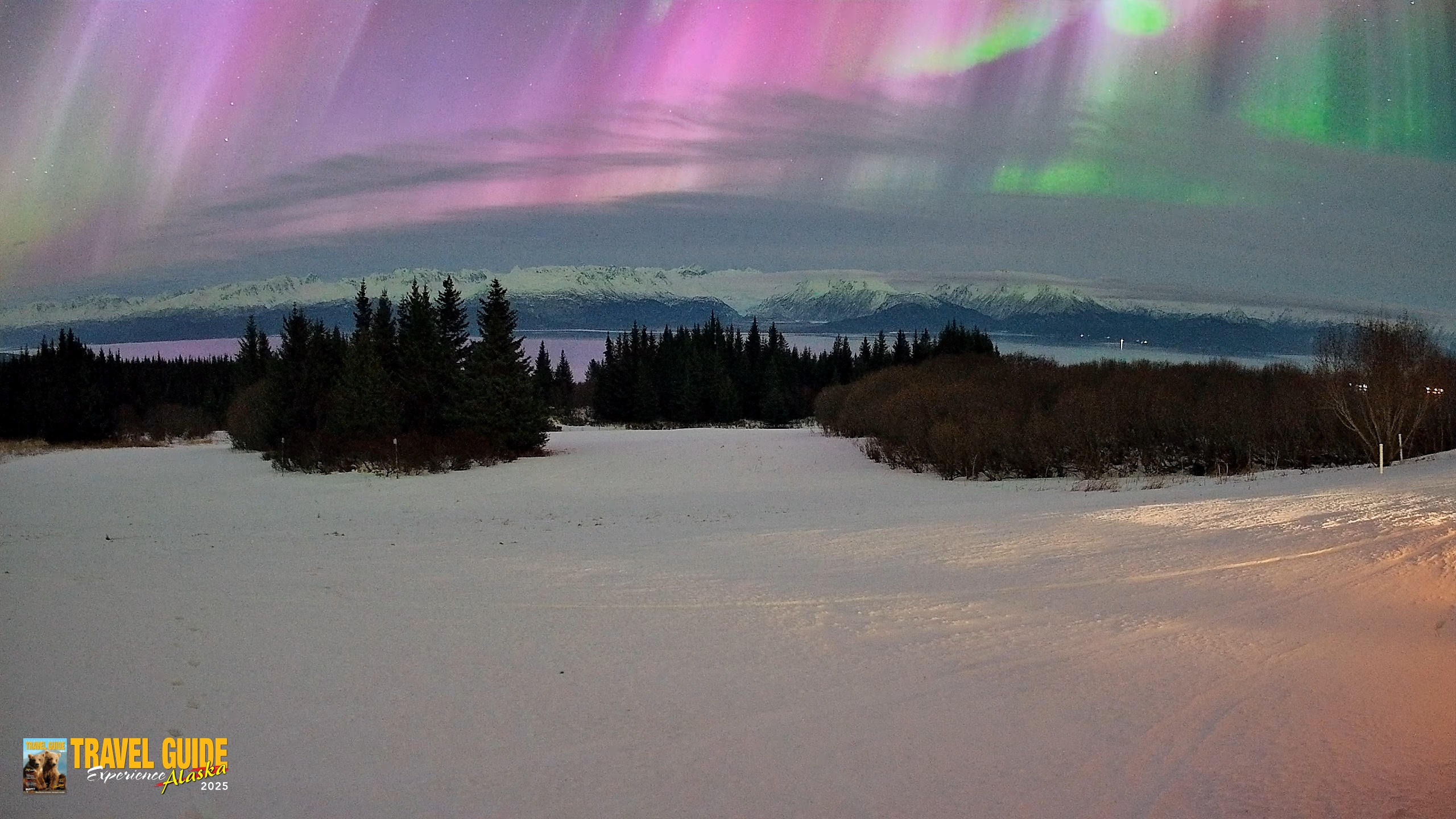 Snapshot of Homer Alaska Northern Lights Live Cam taken Jan 20, 2026, 7:20am AKST