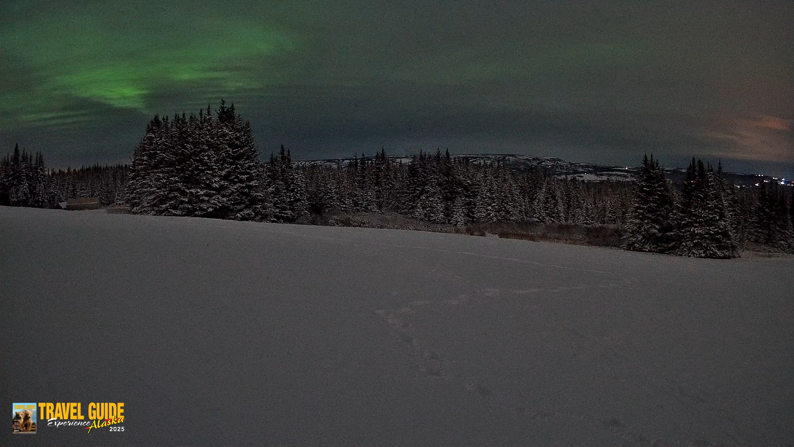 Snapshot of Homer Alaska Northern Lights Live Cam taken Jan 10, 2026, 10:02am AKST