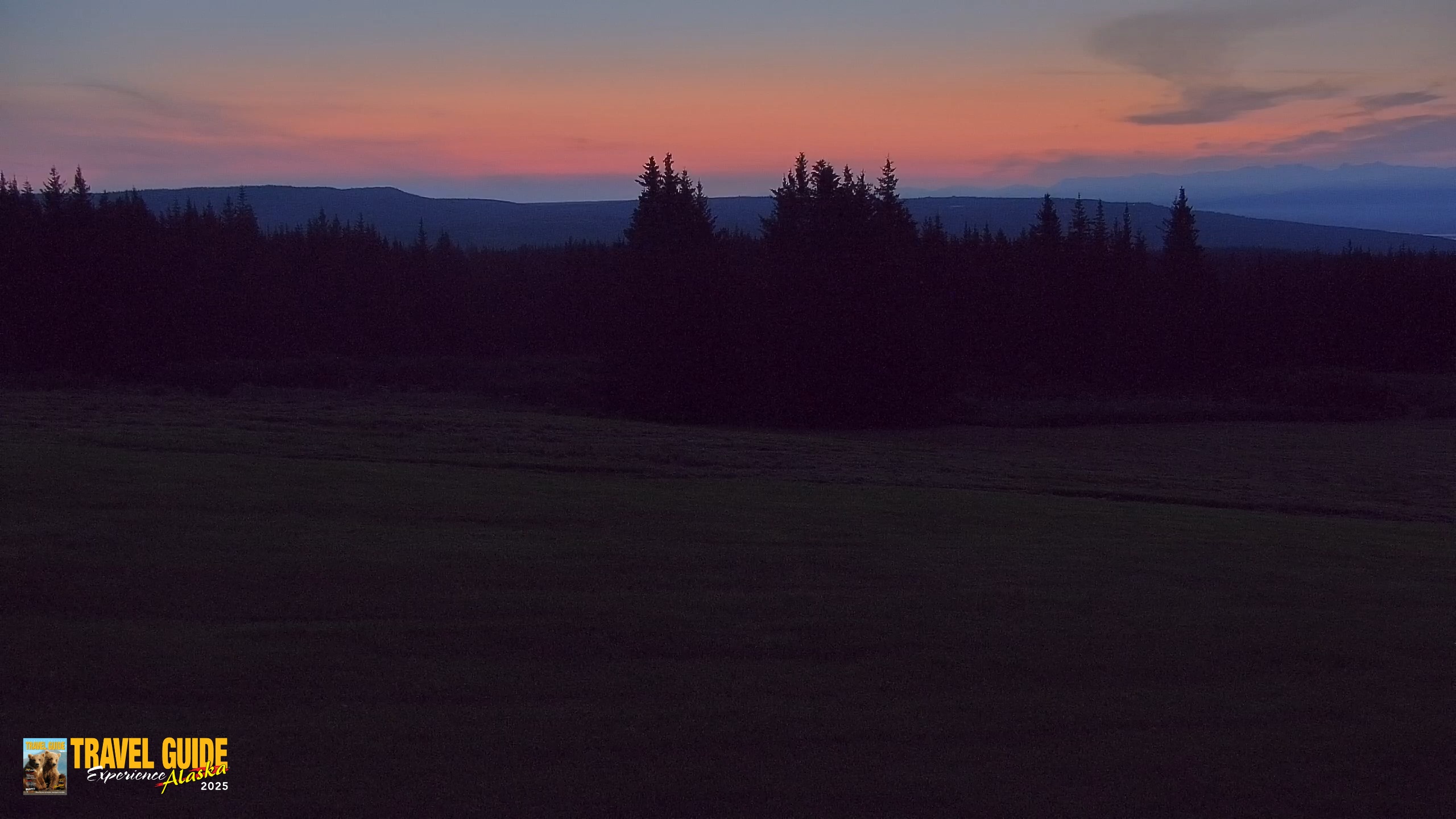 Snapshot of Homer Alaska Northern Lights Live Cam taken Aug 8, 2026, 5:18am AKDT
