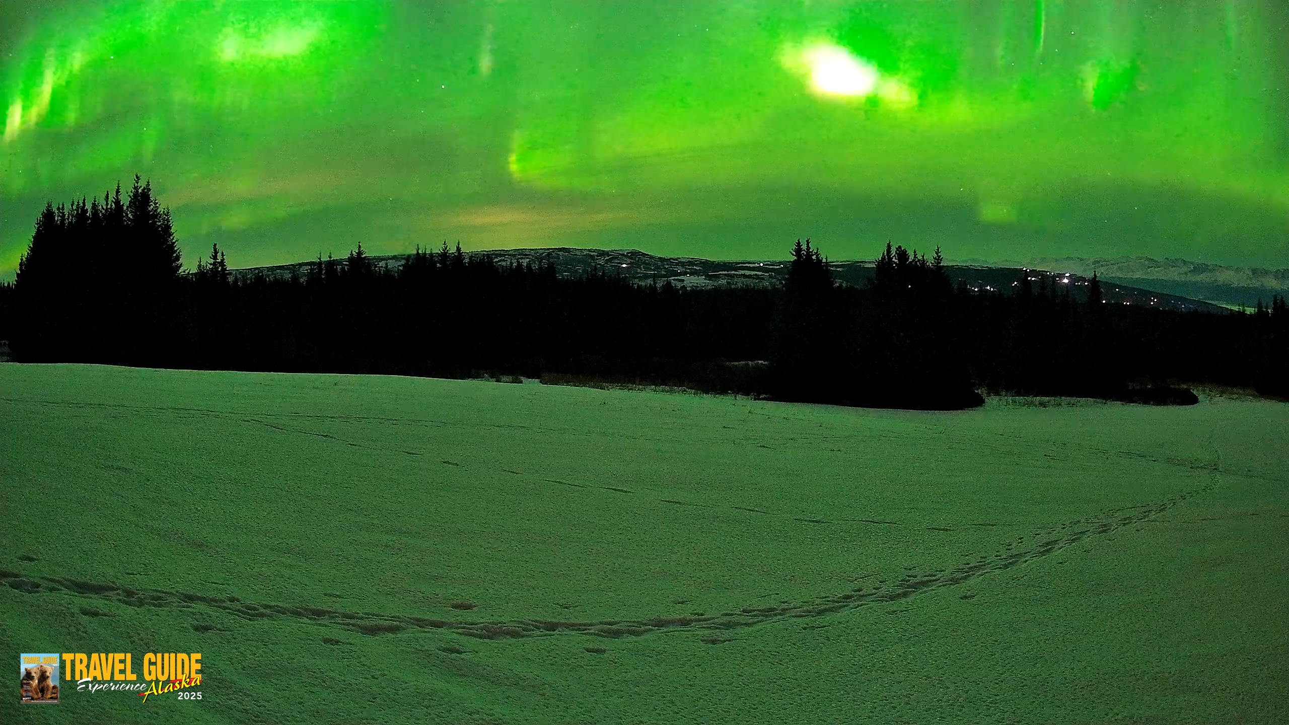 Snapshot of Homer Alaska Northern Lights Live Cam taken Feb 21, 2026, 11:34pm AKST