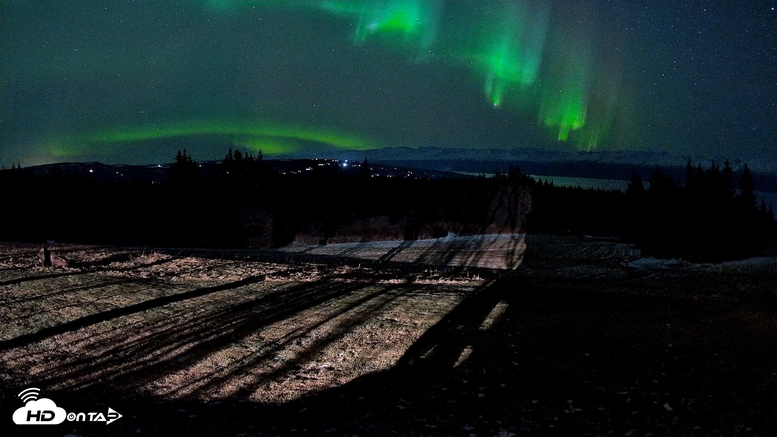 Snapshot of Homer Alaska Northern Lights Live Cam taken Dec 11, 2025, 11:16pm AKST