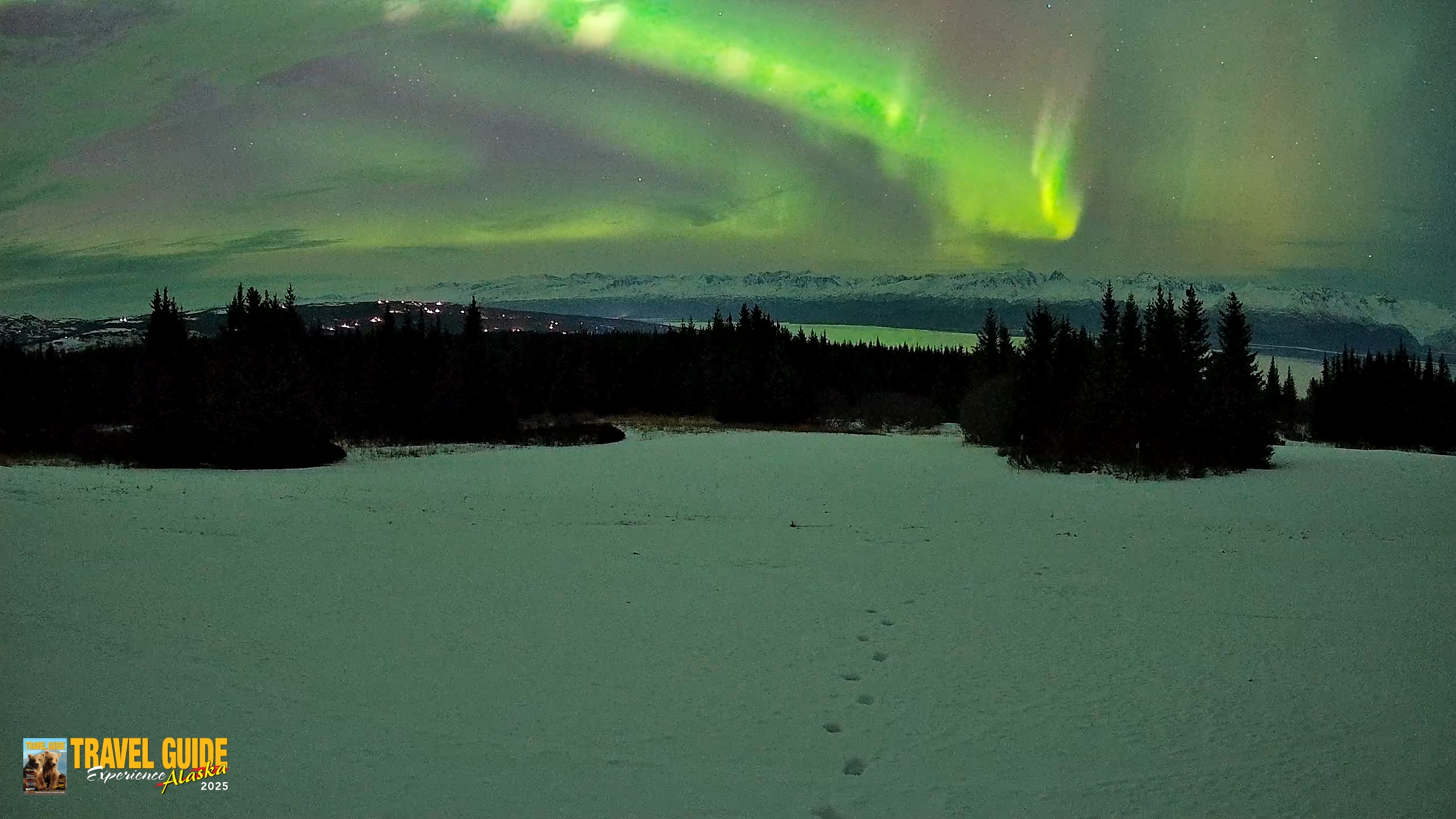 Snapshot of Homer Alaska Northern Lights Live Cam taken Jan 20, 2026, 10:06pm AKST